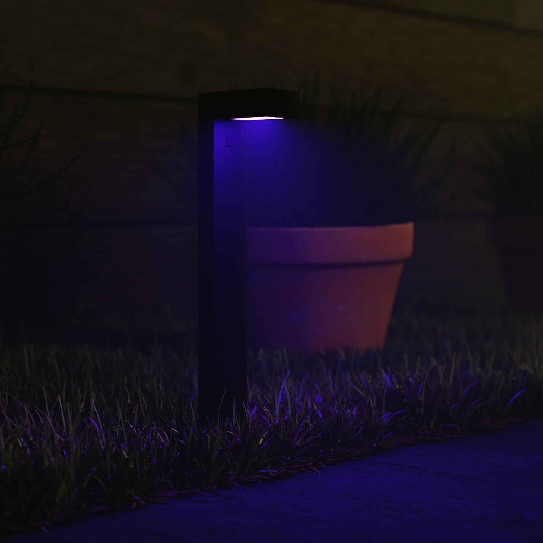 Eine schwarze Außenleuchte beleuchtet Gras und einen Terrakottatopf bei Nacht. Blaues Licht scheint von der Lampe.