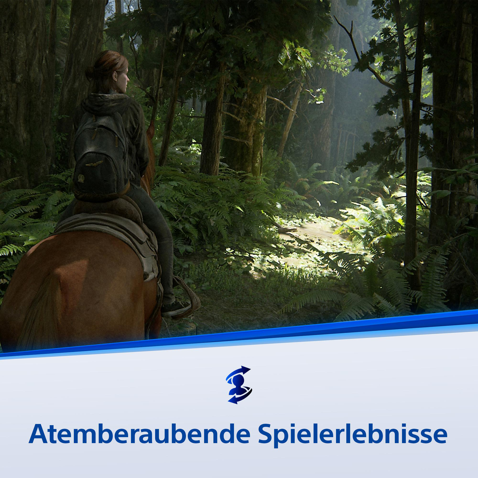 Eine Person auf einem braunen Pferd in einem Wald. Die Person trägt einen Rucksack. Bäume und Farne sind im Hintergrund.