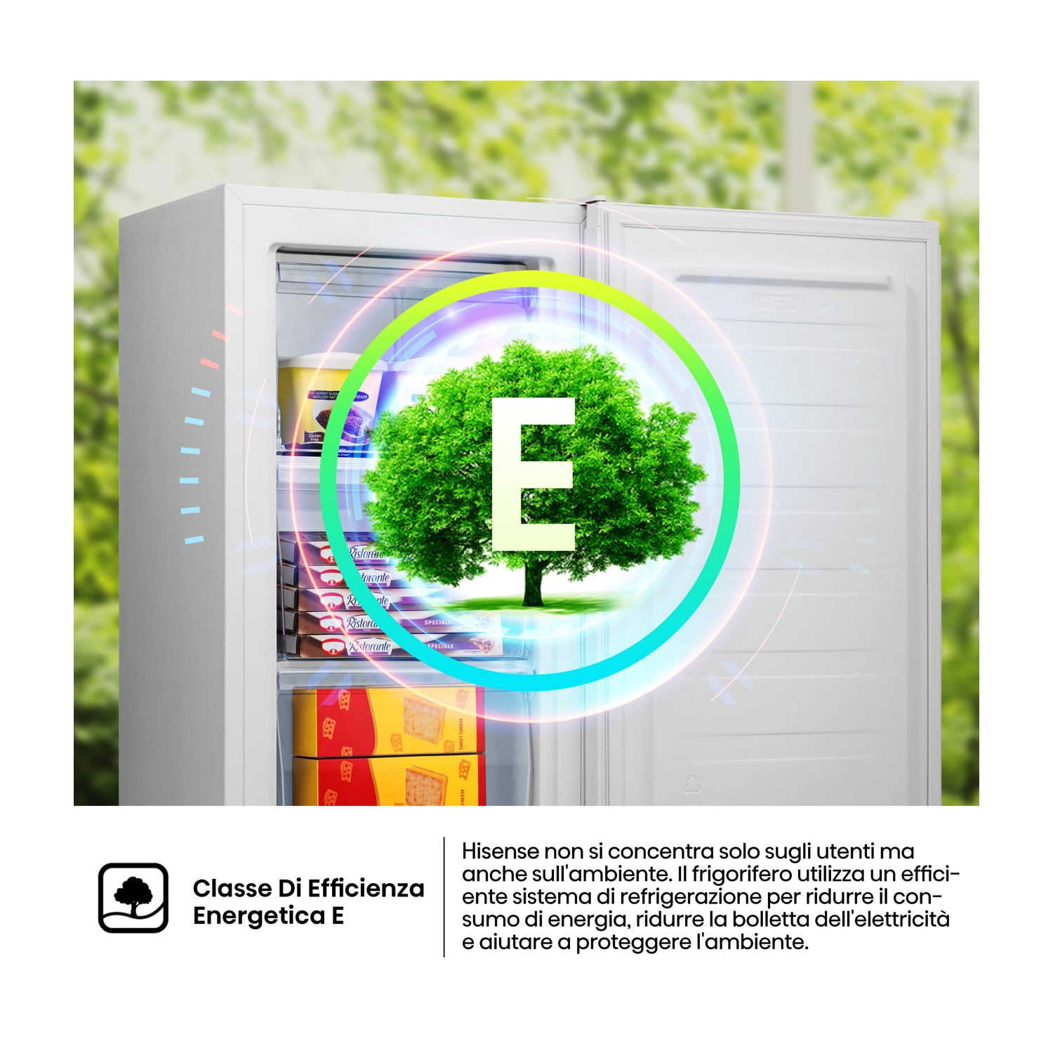Frigorifero aperto con cibo all'interno. Un albero in un cerchio con la lettera E. Testo: Classe di efficienza energetica E.
