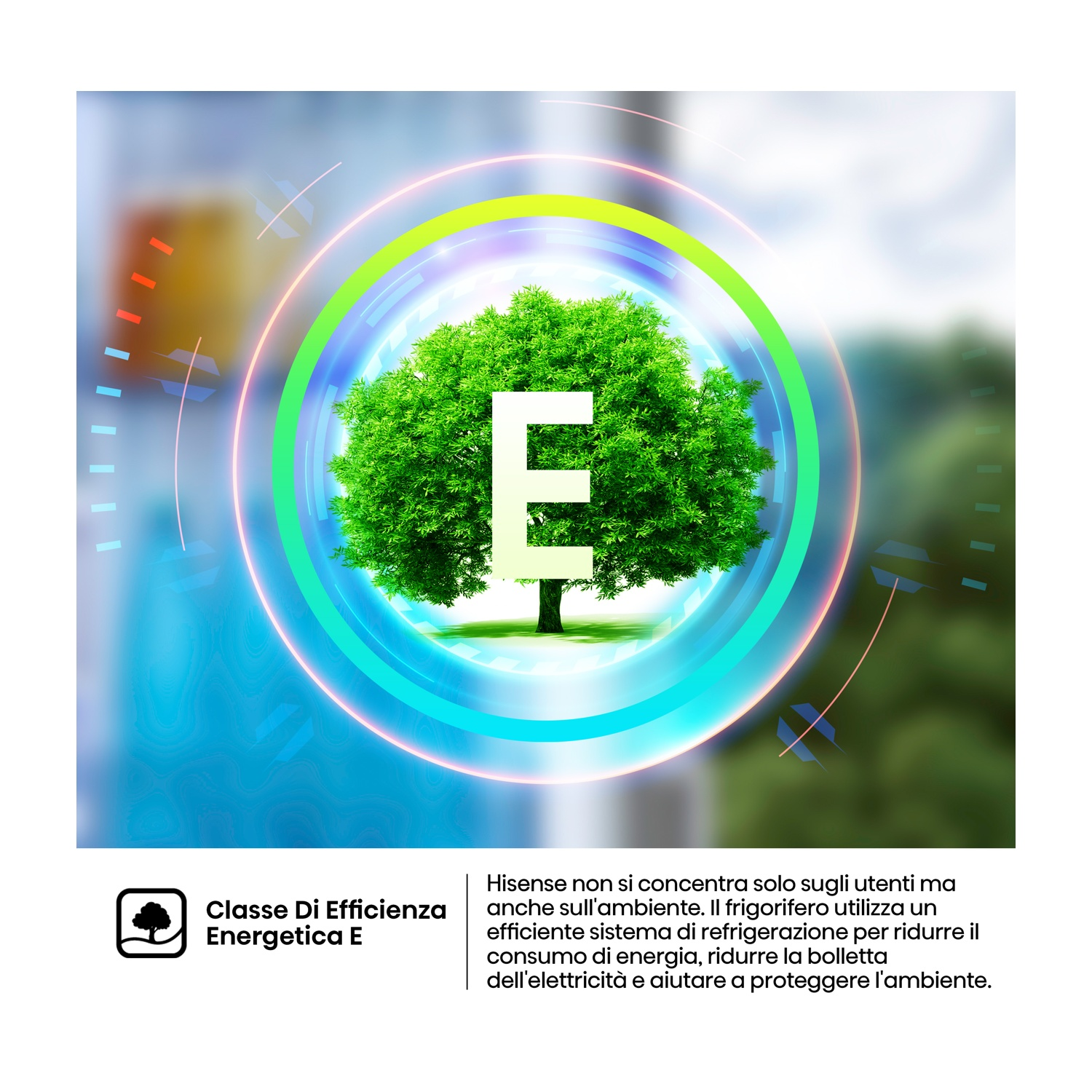 L'immagine presenta un albero verde all'interno di un design circolare. La lettera 'E' è bianca. Testo: Classe di efficienza energetica E.
