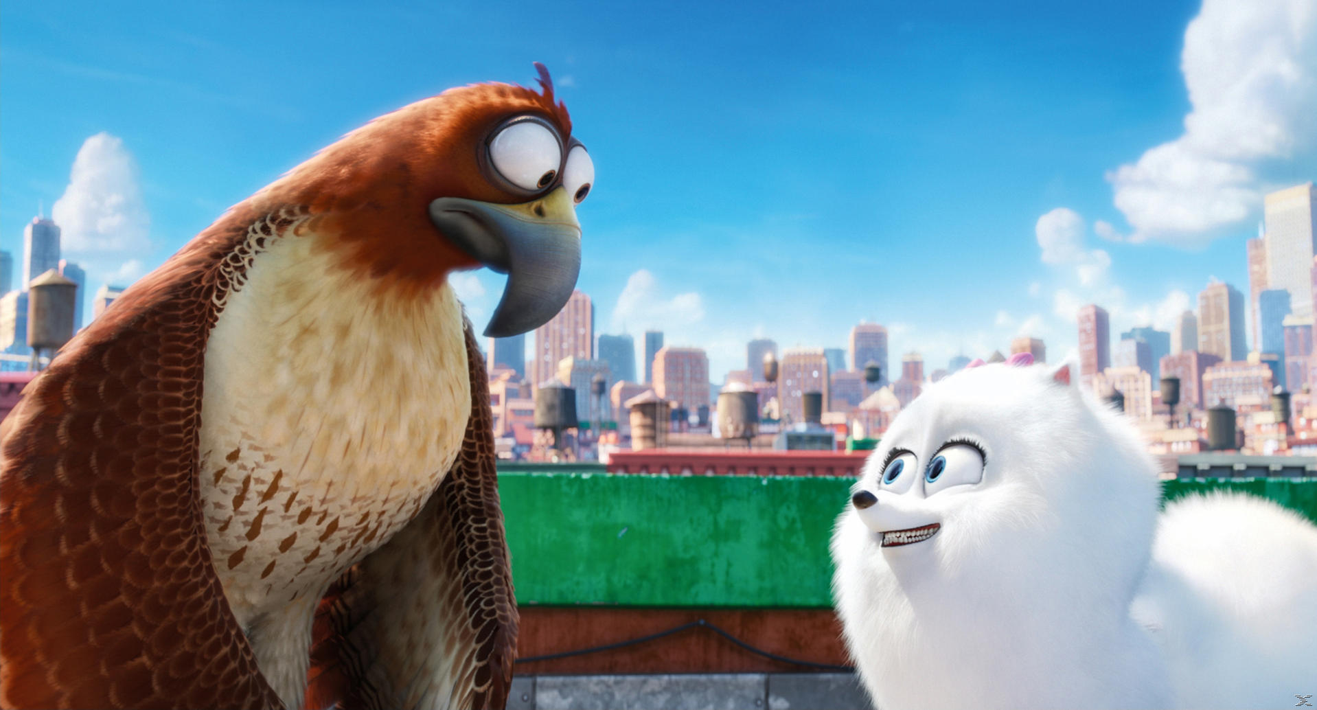 Une scène de dessin animé montre un faucon et un chien blanc et duveteux sur un toit. Des bâtiments de la ville en arrière-plan sous un ciel bleu.