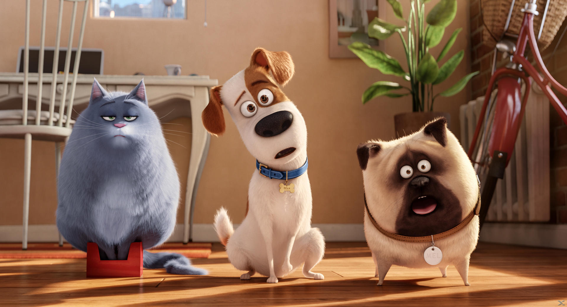Animaux de compagnie animés : un chat grincheux, un chien surpris nommé Max et un carlin nommé Mel. Un vélo rouge et une plante en arrière-plan.
