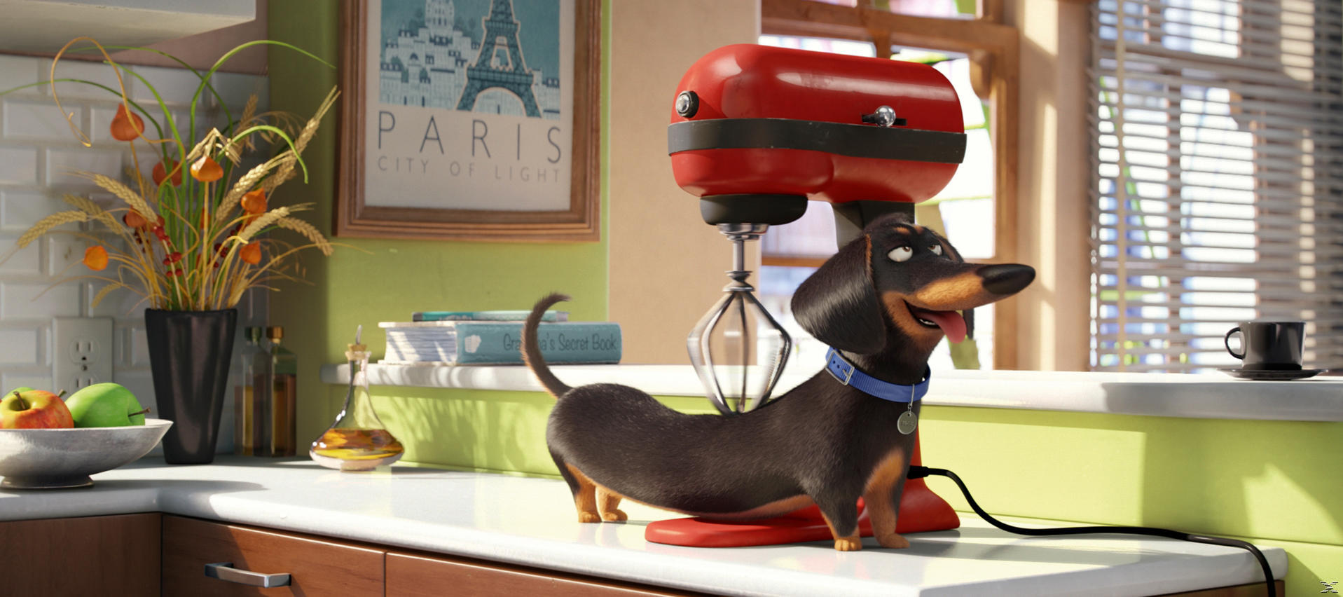 Un chien teckel se tient près d'un mixeur rouge. Il y a aussi une affiche de Paris, un bol de fruits et une tasse de café.