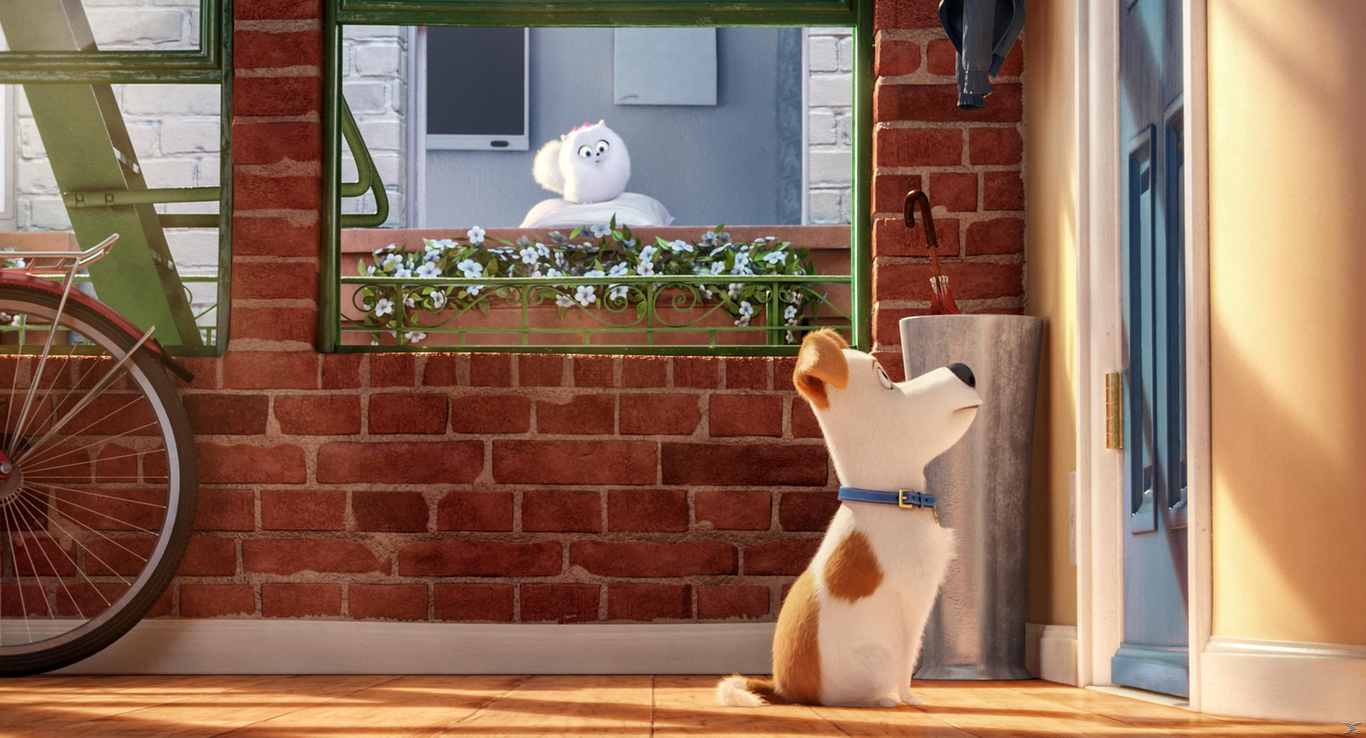 Un petit chien avec des taches marron est assis sur un plancher en bois, regardant une fenêtre. Un chien blanc et duveteux est à l'intérieur de la fenêtre.