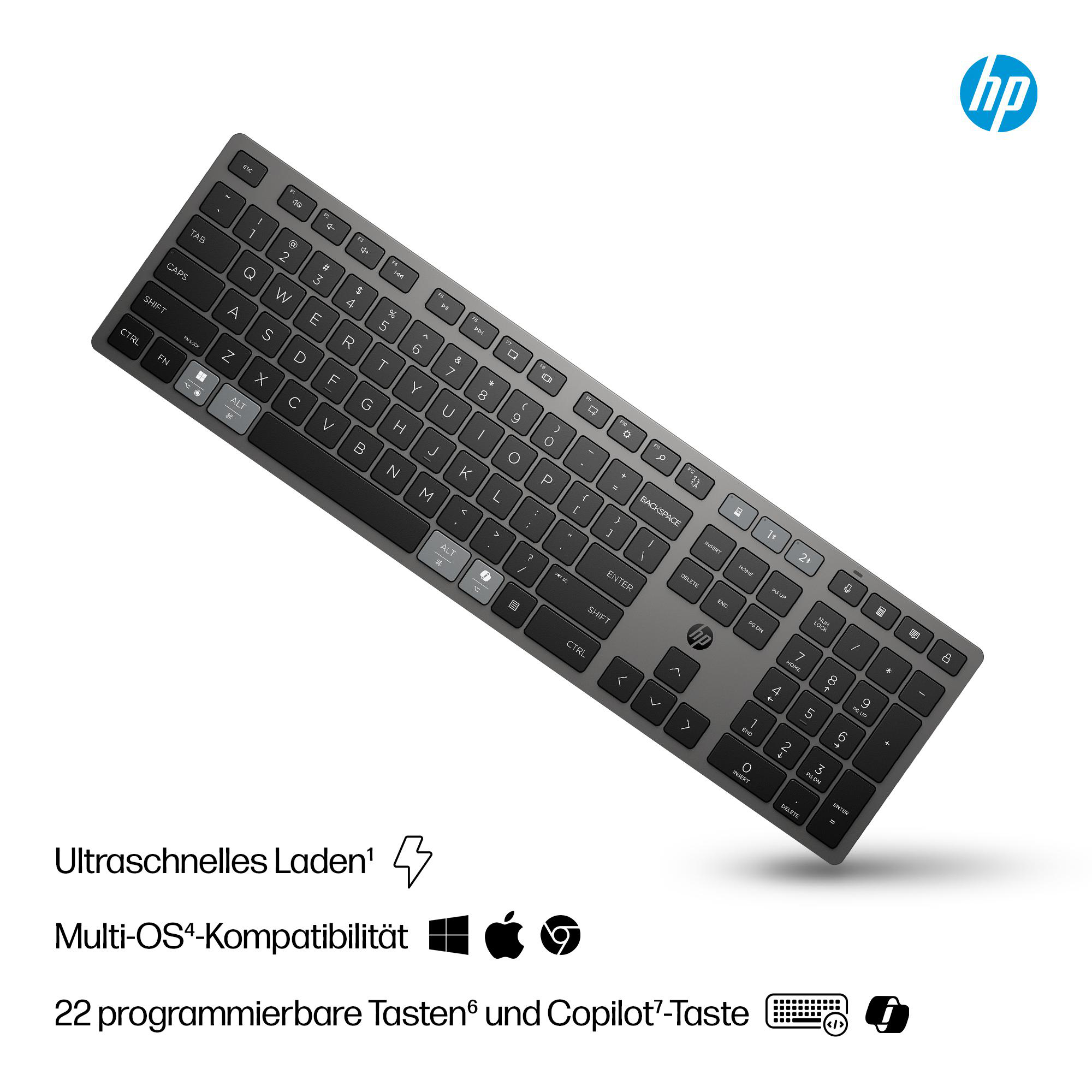 Graue HP-Tastatur mit schwarzen Tasten auf weißem Hintergrund. Merkmale sind ein Nummernblock, Funktionstasten und das HP-Logo.