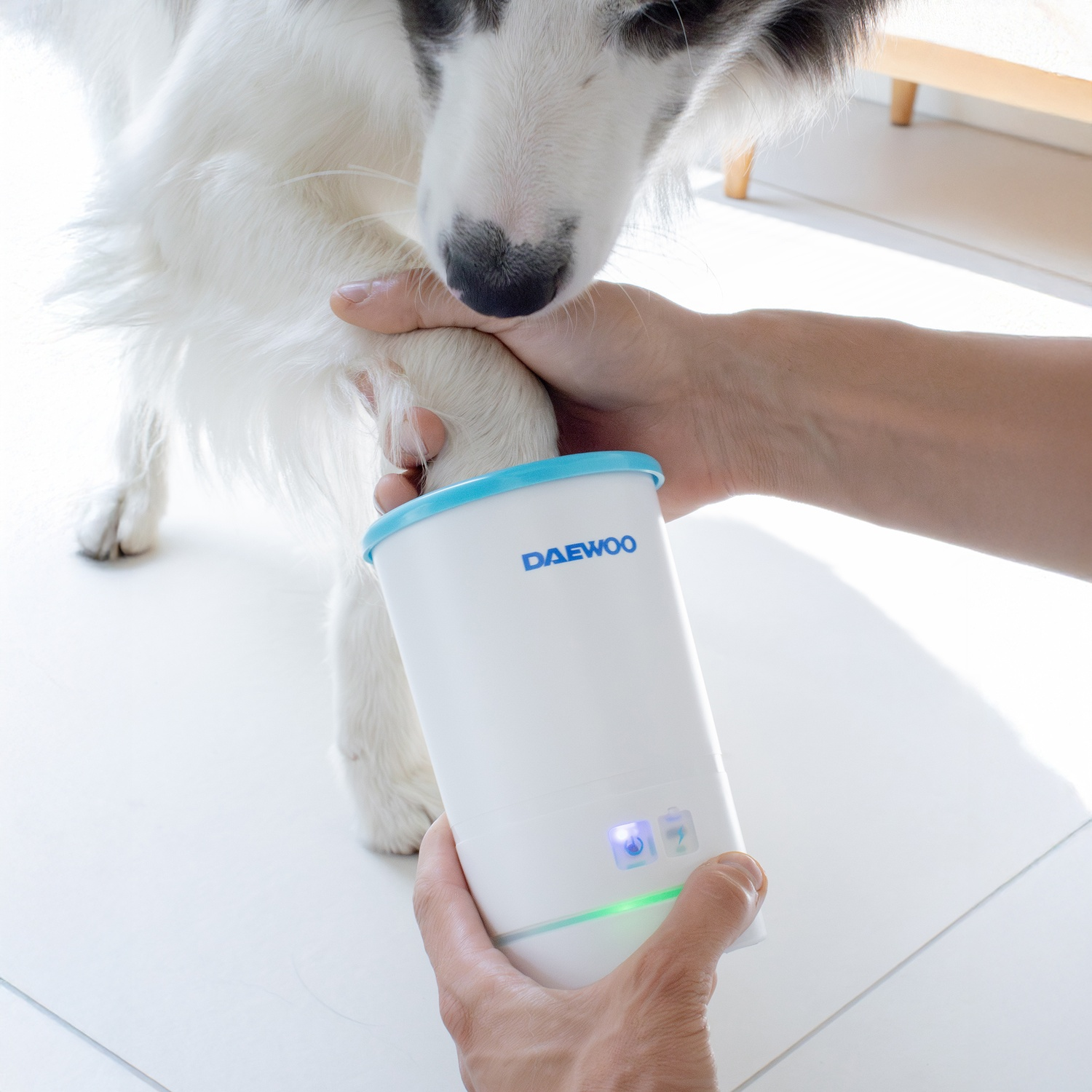 Una persona tiene la zampa di un cane sopra un dispositivo bianco con dettagli blu. Il cane è bianco con macchie nere.
