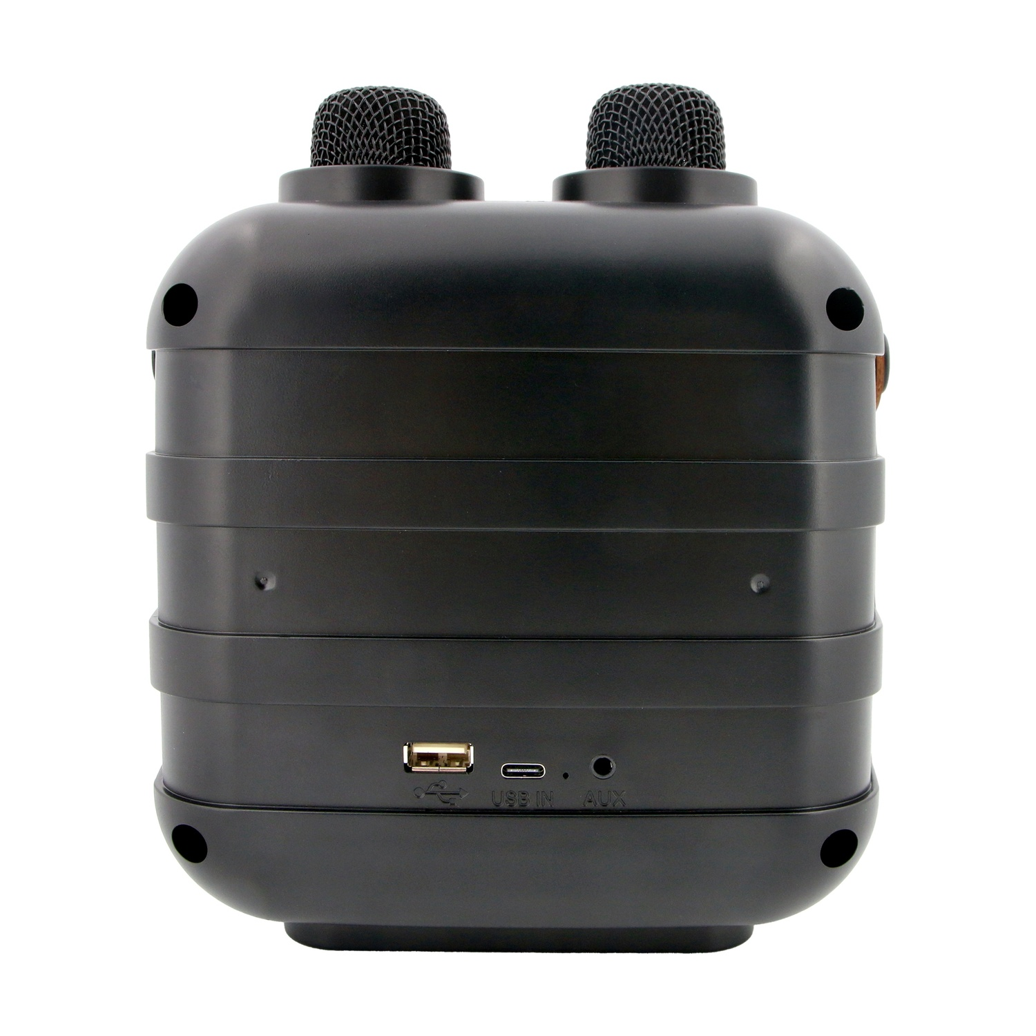 Altoparlante nero con due microfoni in alto. Porte USB, AUX e ingresso alimentazione visibili. Sfondo bianco.