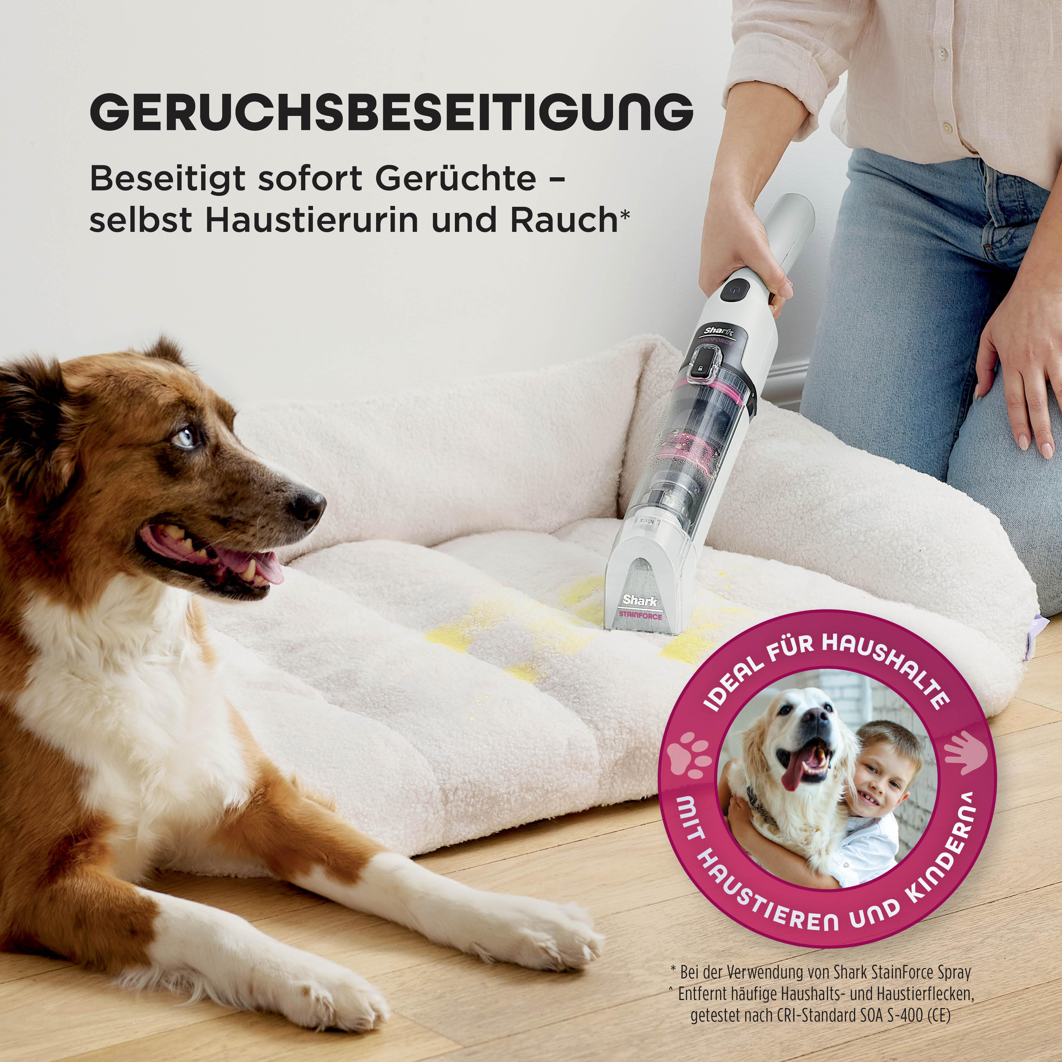 Ein brauner Hund liegt in der Nähe eines Staubsaugers, der ein Hundebett reinigt, mit Text auf Deutsch über Geruchsbeseitigung.