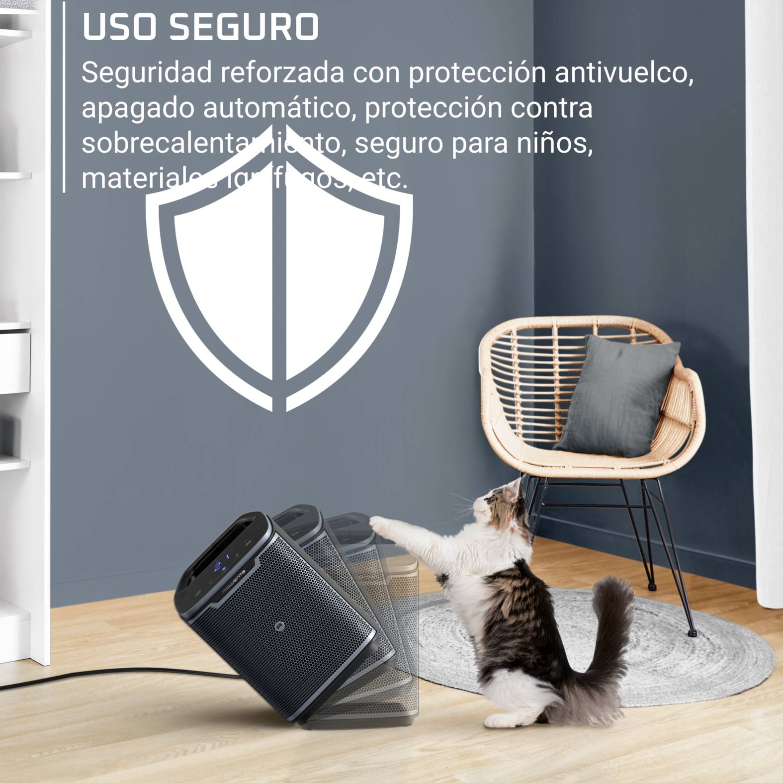 Un gato interactuando con un calentador negro. Un logotipo de escudo está en la pared. También hay una silla y una alfombra.