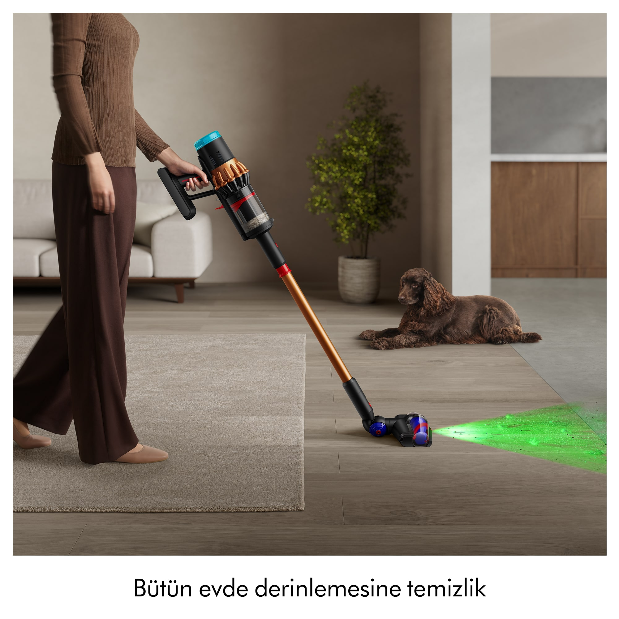 Bir kişi kablosuz bir elektrikli süpürgeyle halıyı süpürüyor. Arka planda bir köpek yatıyor.
