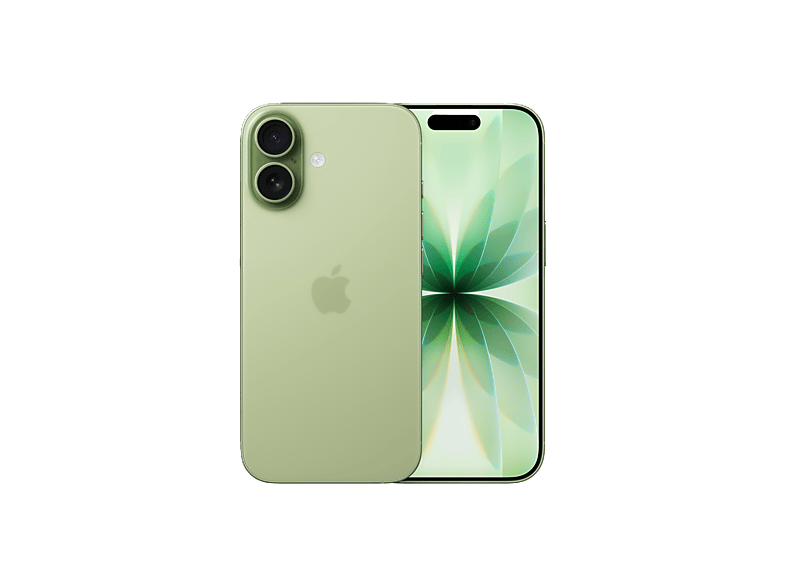 Apple iPhone 17, 256 GB, Salbei, Dual SIM