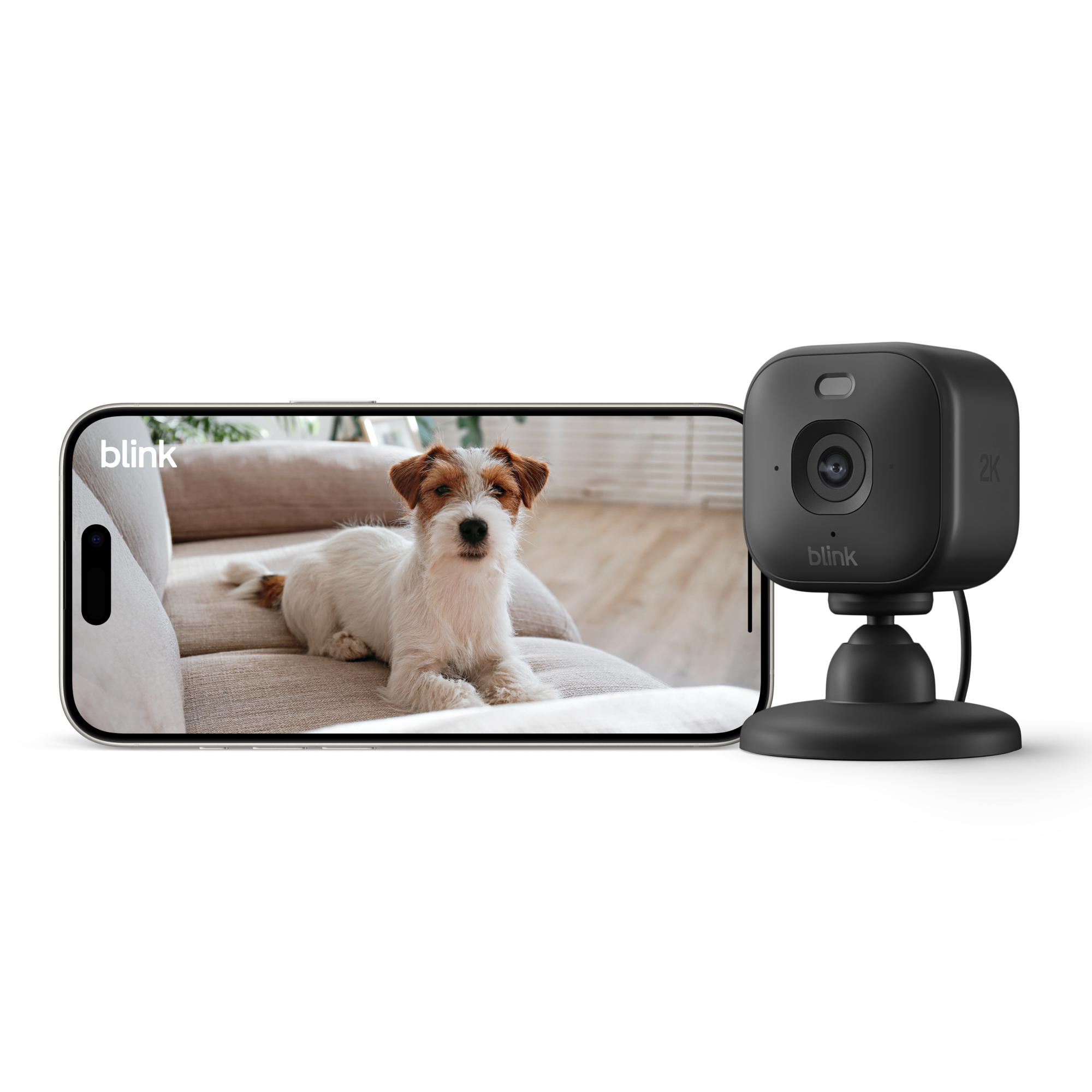 Auf einem Telefon ist ein Hund auf einer Couch zu sehen. Eine schwarze Überwachungskamera steht daneben.