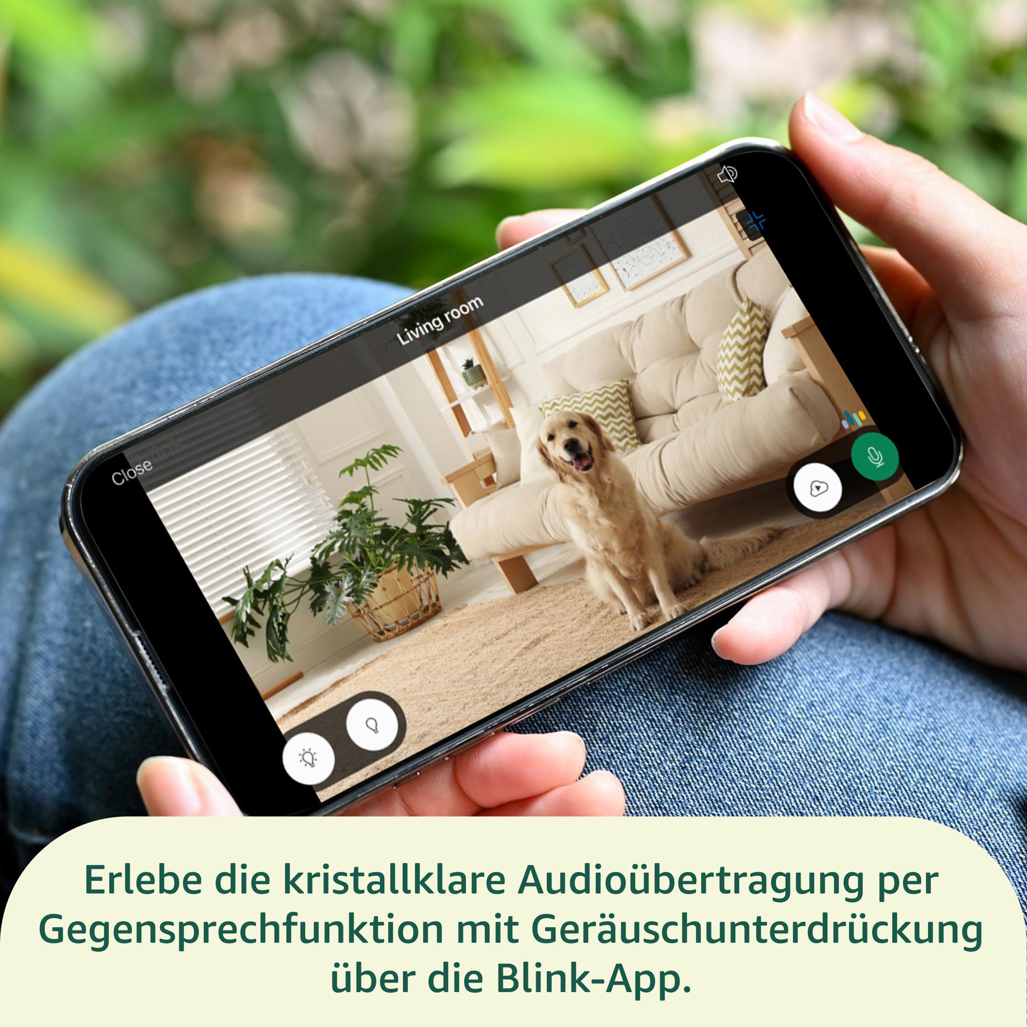 Eine Hand hält ein Telefon mit einem Wohnzimmer und einem Hund. Der Bildschirm zeigt 'Wohnzimmer'.