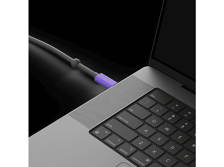 Thumbnail - LOGITECH - B2B Aktives, USB-Kabel, Grau