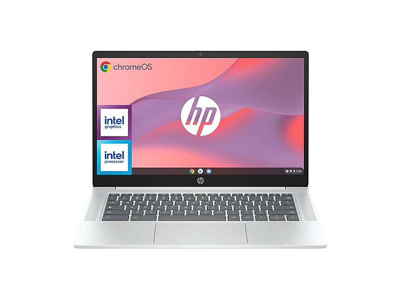 HP Chromebook 14A-Nf0020Nl Notebook, 14", processore Intel N100 N100, UHD Graphics, RAM 8 GB, 128 GB Flash, Silver, Google Chrome OS