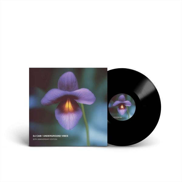 Albumcover: lila Blume auf blauem Hintergrund, schwarze Schallplatte mit passendem Etikett. Text: DJ Cam / Underground Vibes.