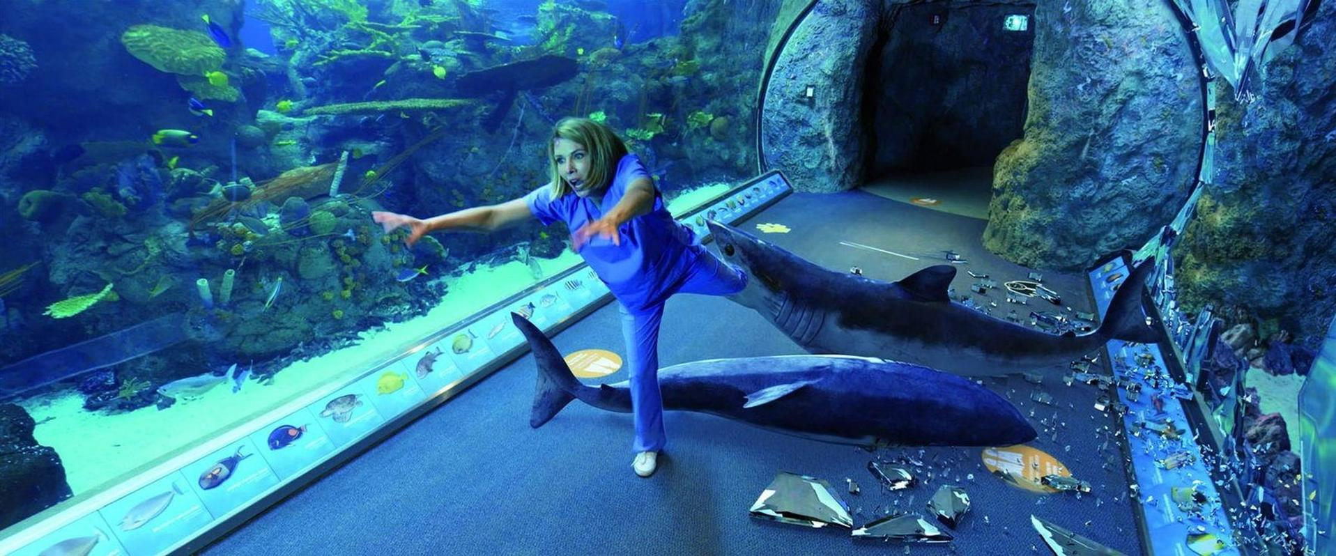 Frau in blauem Outfit reagiert auf Haie in einem zerbrochenen Aquarium. Zersplittertes Glas, Wasser und Unterwasserszene sind sichtbar.