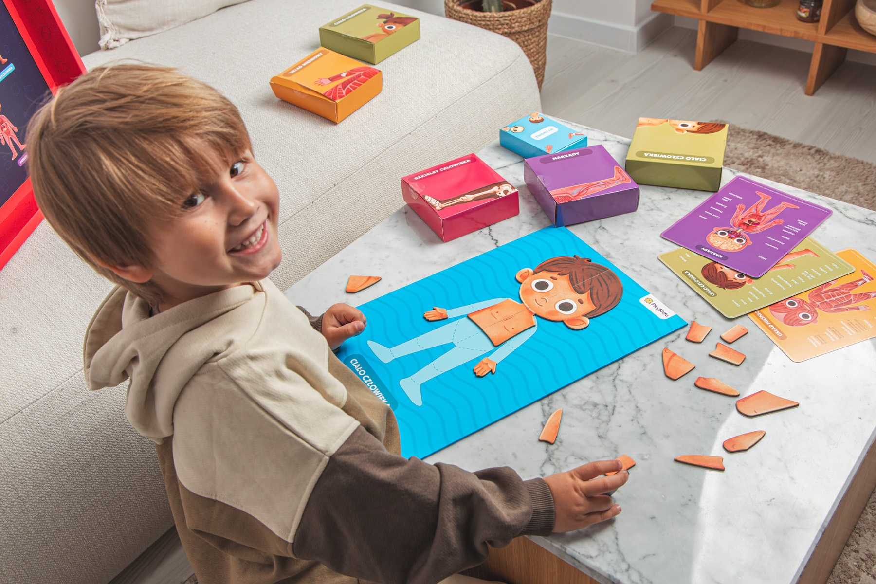 Dziecko uśmiecha się, bawiąc się układanką ciała. Na stole są pudełka i karty z częściami ciała. W tle kanapa.