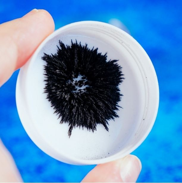 Dłoń trzyma biały pojemnik z czarnymi cząstkami magnetycznymi tworzącymi kolczasty kształt. Tło jest niebieskie.