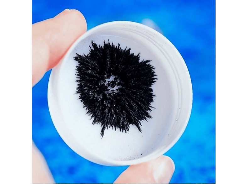 Zestaw kreatywny LISCIANI I'm a Genius Nauka w domu Magnetyzm 304-PL97517 – zdjęcie 2