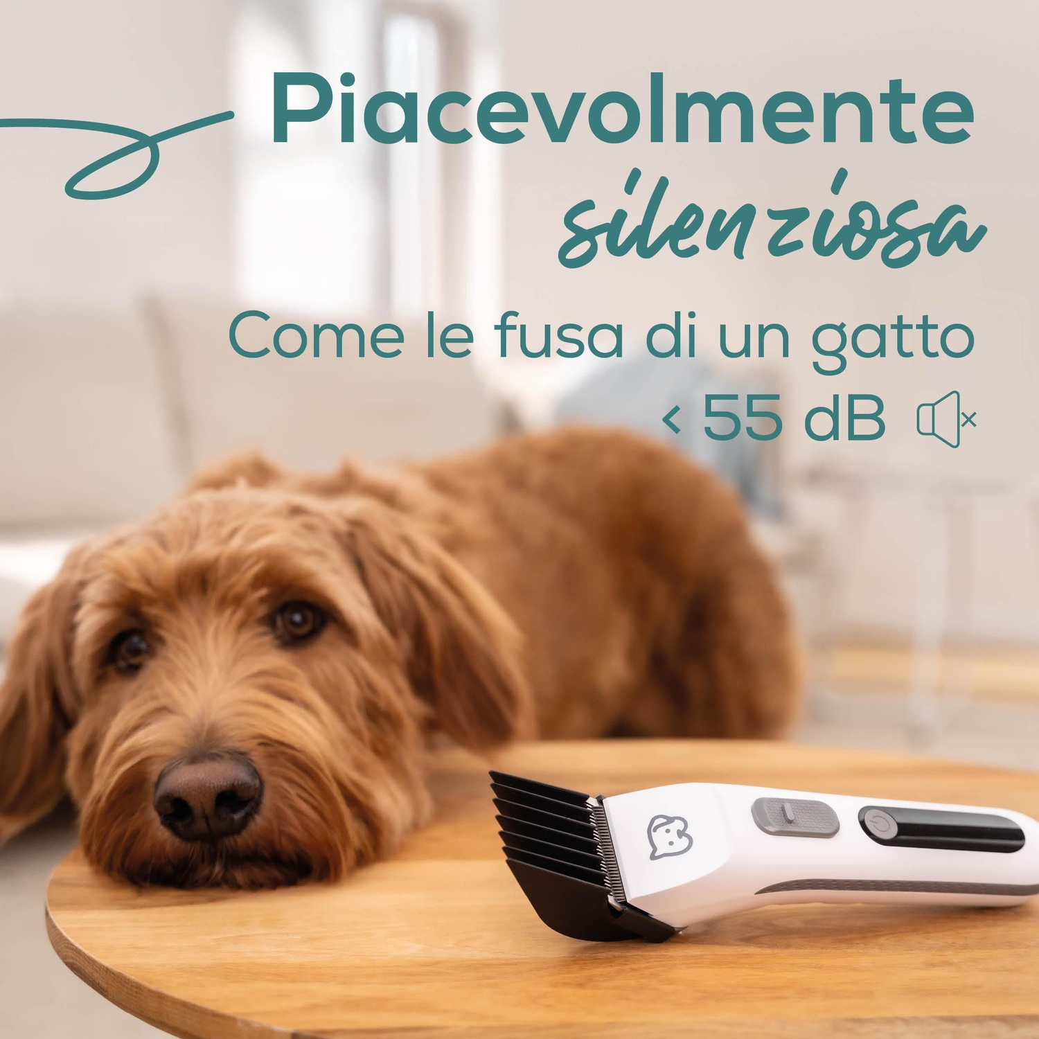 Un cane marrone riposa su un tavolo vicino a un tagliacapelli per animali domestici bianco e nero. Testo italiano: 'Piacevolmente silenzioso come le fusa di un gatto'.