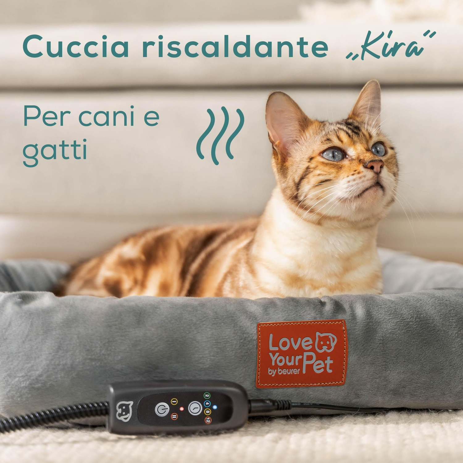 Un gatto dagli occhi blu riposa in un letto riscaldato per animali domestici. Il testo recita: letto riscaldato 'Kira' per cani e gatti. Il letto ha un controller.