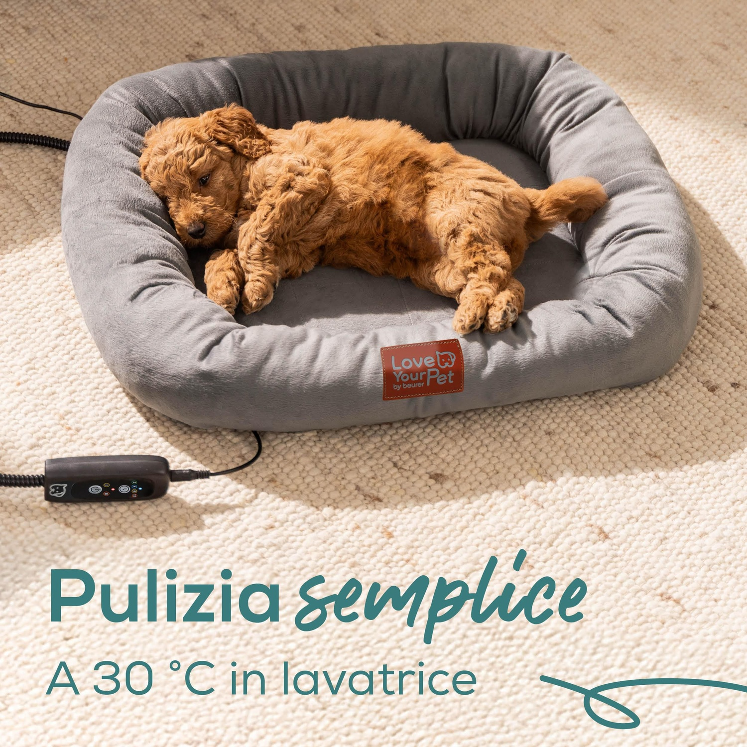 Un cucciolo giace in una cuccia grigia su un tappeto beige. Il letto ha un'etichetta con scritto 'Love Your Pet'.