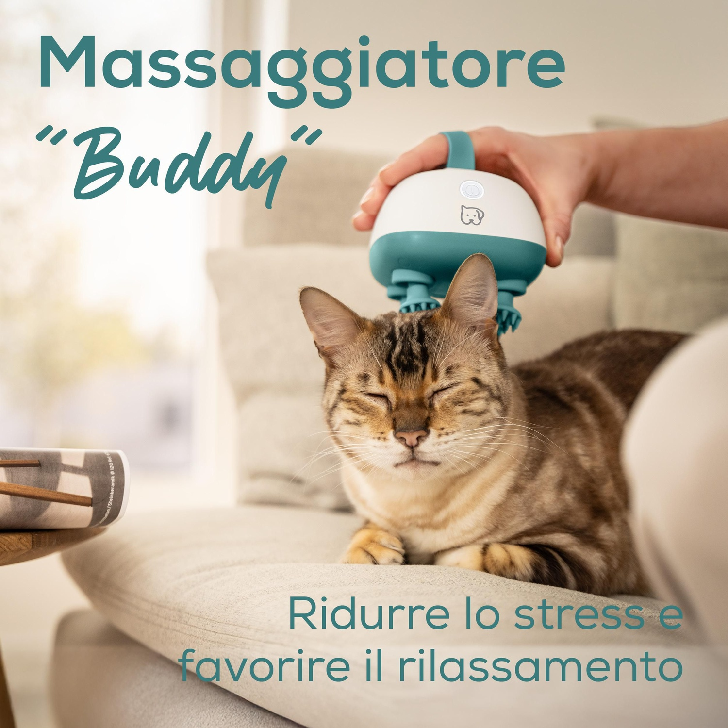 Un gatto viene massaggiato con un massaggiatore verde acqua e bianco. Il gatto è su un divano e sembra rilassato. Il testo dice 'Buddy'.