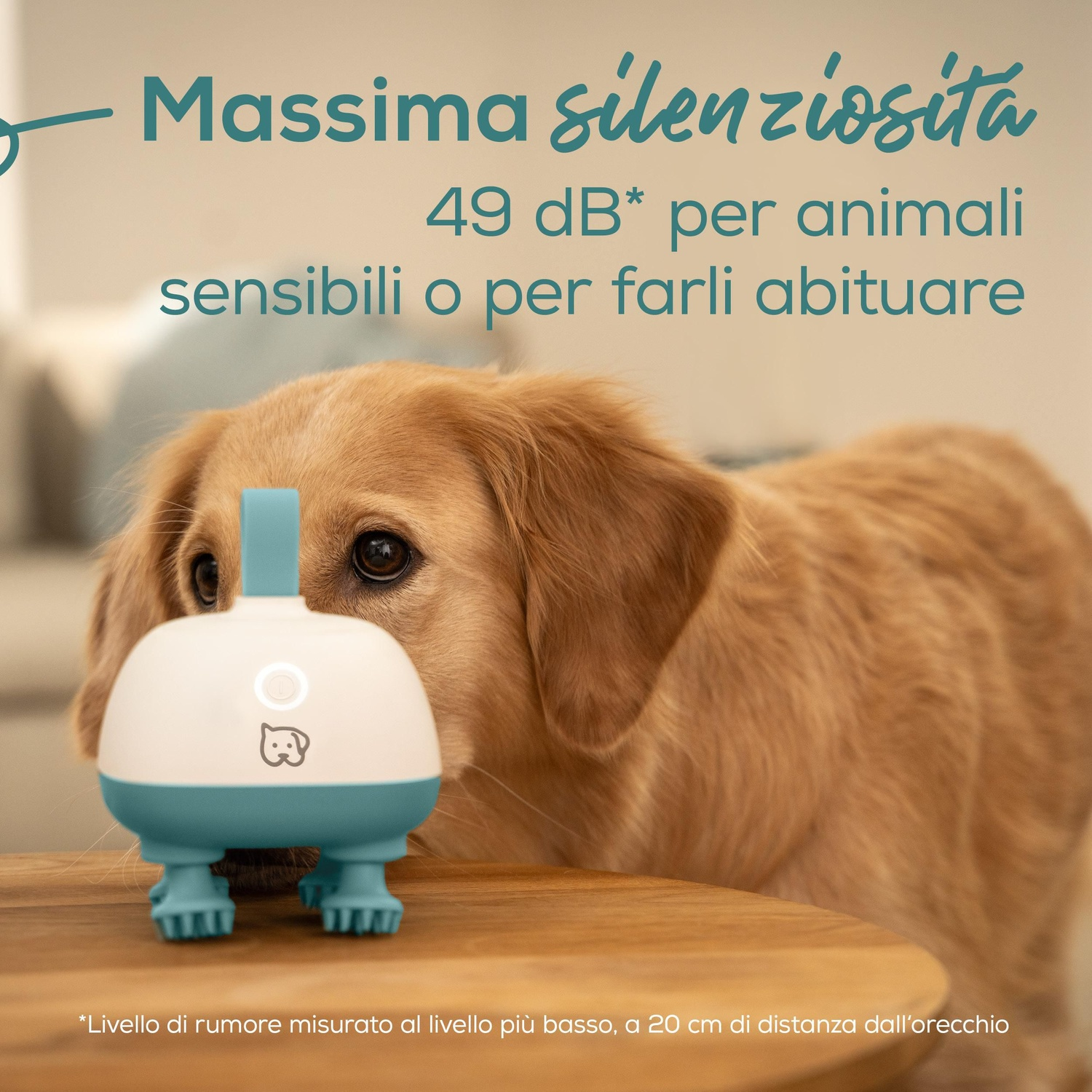 Un cane golden retriever con un dispositivo per la toelettatura. Il dispositivo è bianco e verde acqua, su un tavolo di legno. Testo: massimo silenzio.