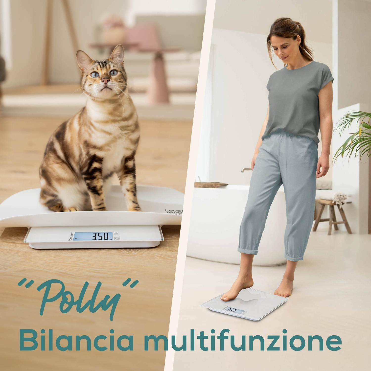 Un gatto su una bilancia, una donna su un'altra. Testo: "Polly" e "Bilancia multifunzione".