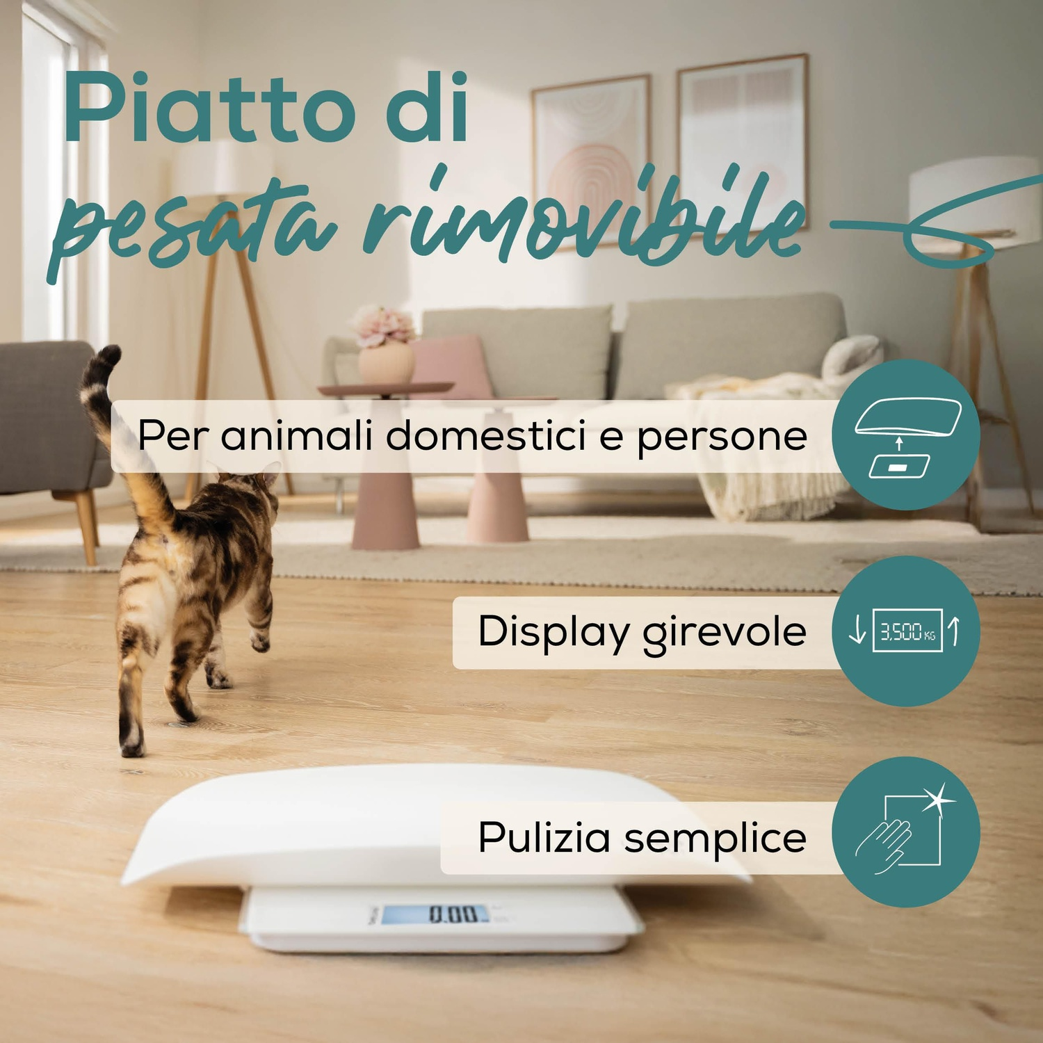 Un gatto passa accanto a una bilancia bianca per animali domestici. Testo: piatto di pesata rimovibile, per animali domestici e persone, display girevole, pulizia facile.
