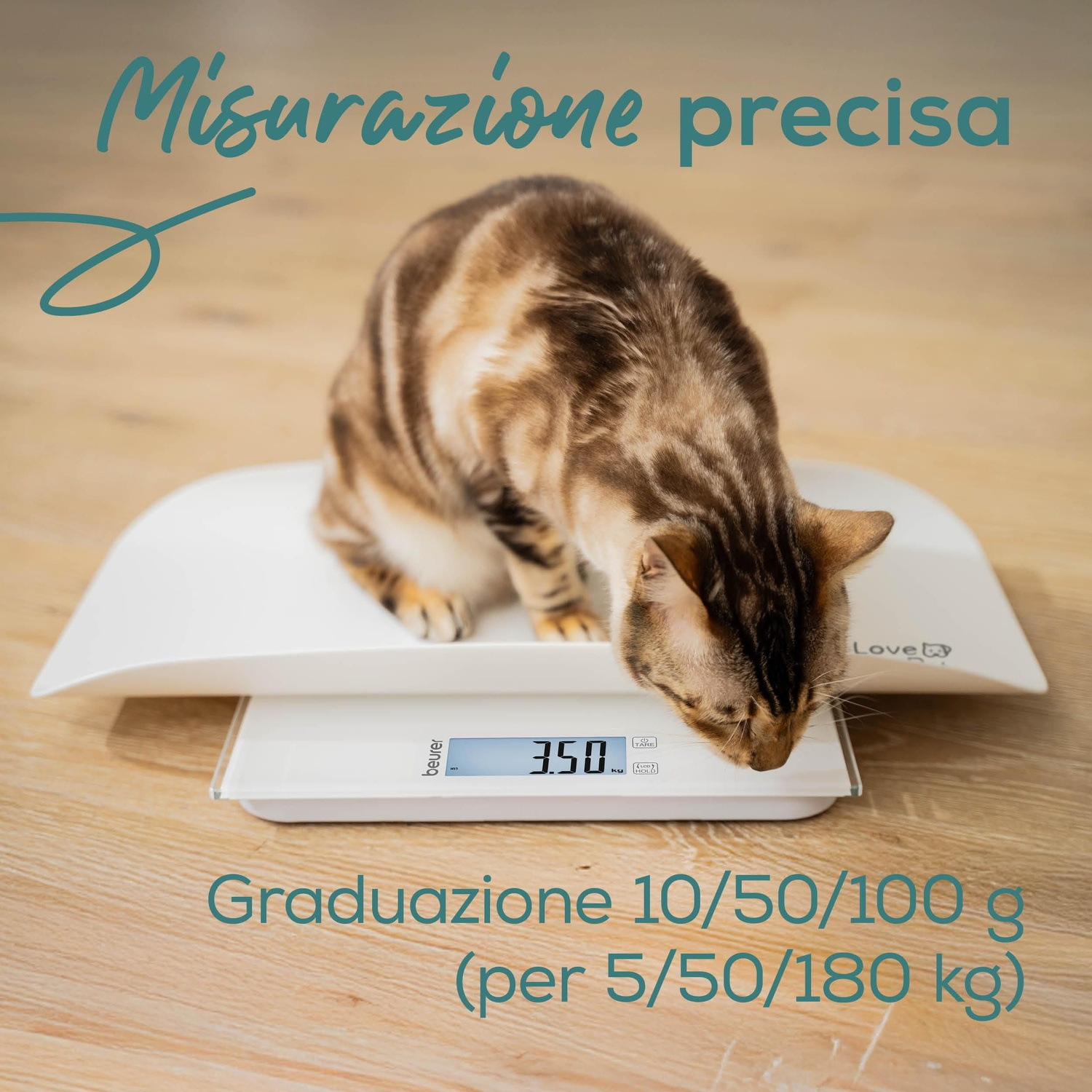 Un gatto su una bilancia indica 3,50 kg. La bilancia è bianca, su pavimento in legno, con testo in italiano.