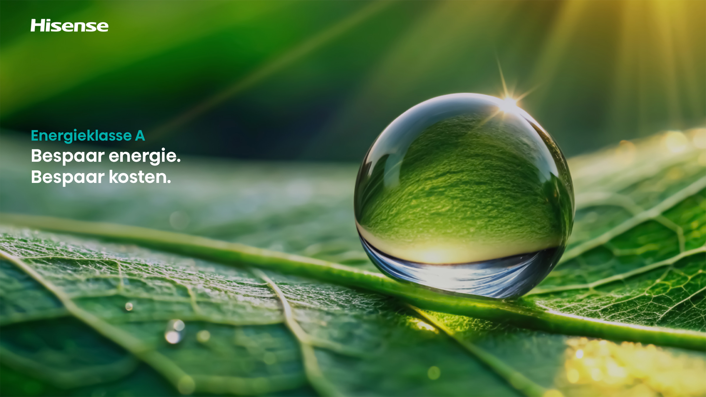 A clear water droplet on a green leaf reflects sunlight. The scene is bright and highlights the leaf's texture.