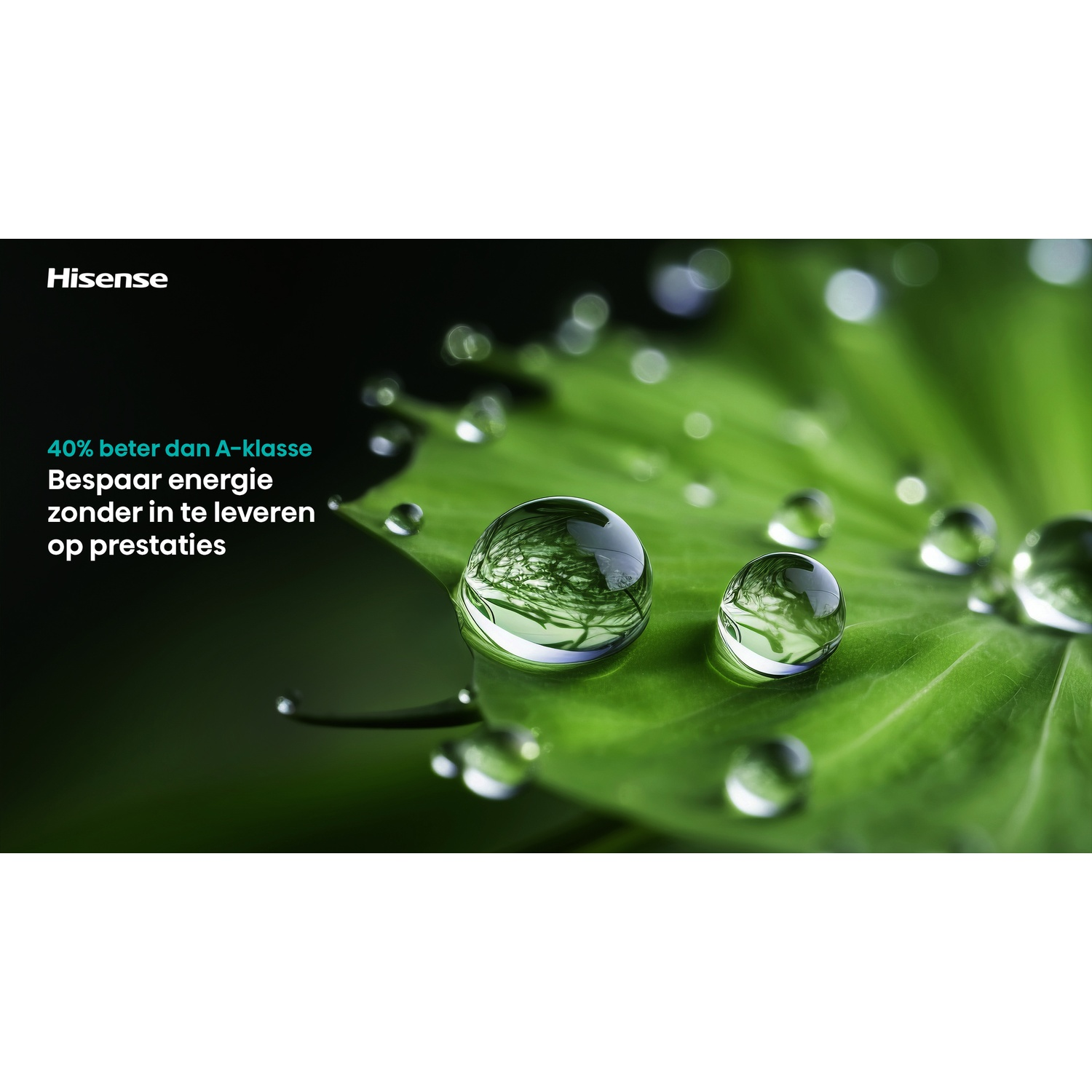 Gros plan d'une feuille verte avec des gouttelettes d'eau. Logo Hisense et texte sur les économies d'énergie dans l'image.