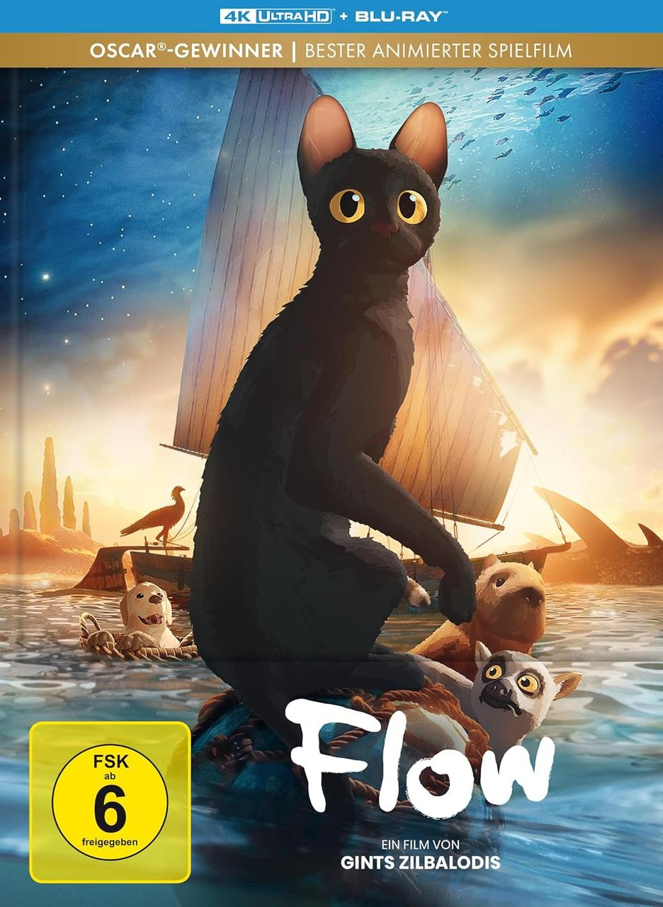 Poster des Animationsfilms. Eine schwarze Katze segelt mit Freunden. Meer- und Himmels Hintergrund. Text: Flow, Oscar-Gewinner, Gints Zilbalodis.