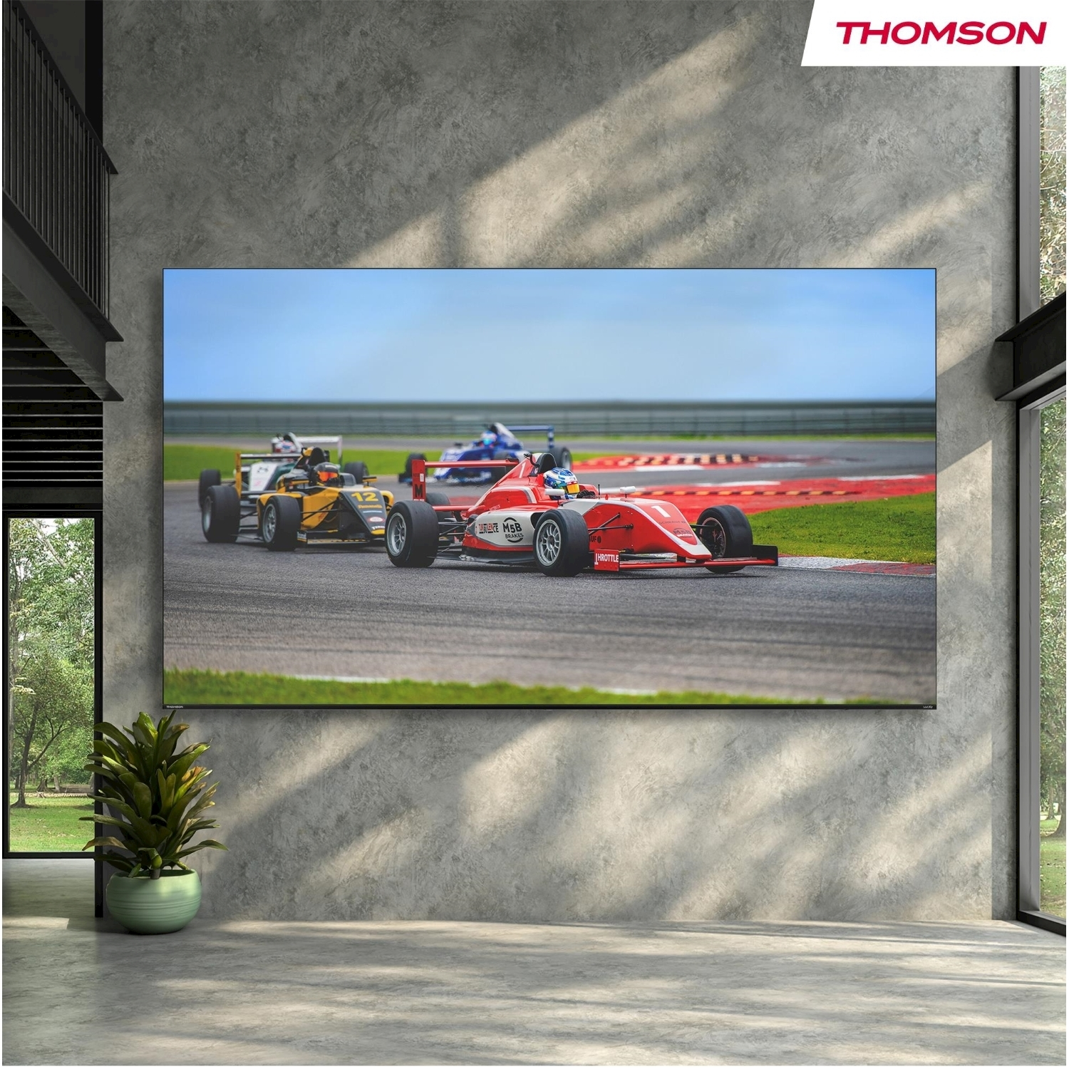 Un grande televisore su un muro grigio mostra auto da corsa su una pista. Una pianta verde è sul pavimento a sinistra.