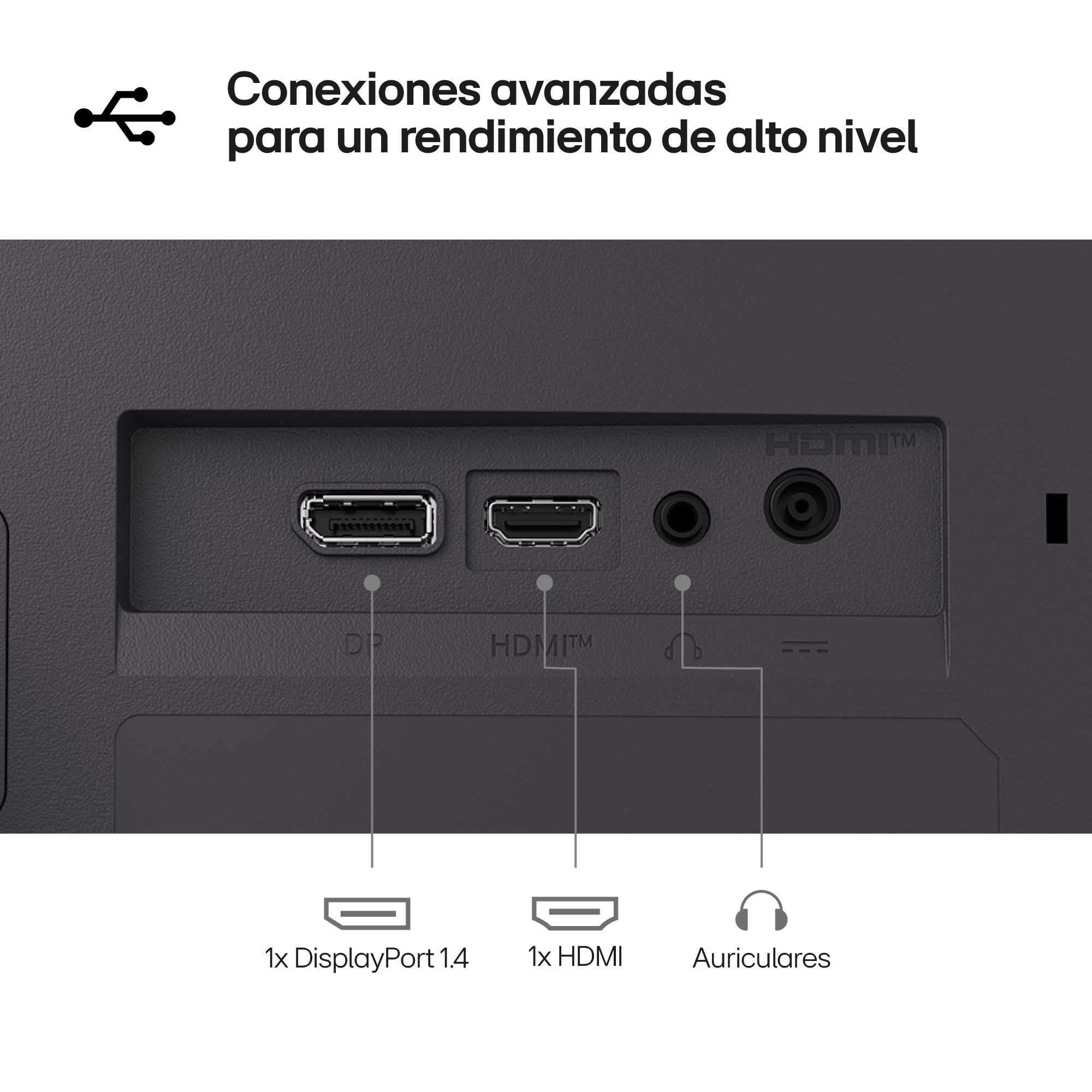 Primer plano de panel trasero de un monitor, mostrando puertos DisplayPort, HDMI y audio, con etiquetas y superficie gris.