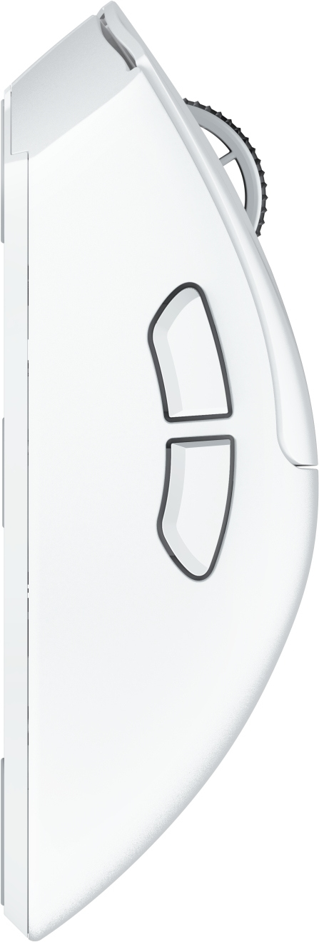 Seitenansicht einer weißen Computermaus. Sie hat zwei schwarze Knöpfe an der Seite, ein Scrollrad und ein schlankes Design.