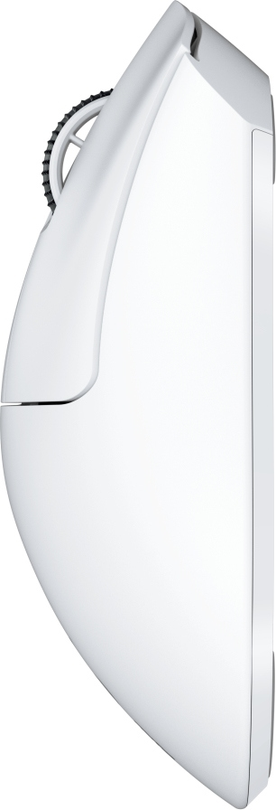 Seitenansicht einer weißen Computermaus. Sie hat ein Scrollrad und ein schlankes, ergonomisches Design. Der Hintergrund ist weiß.