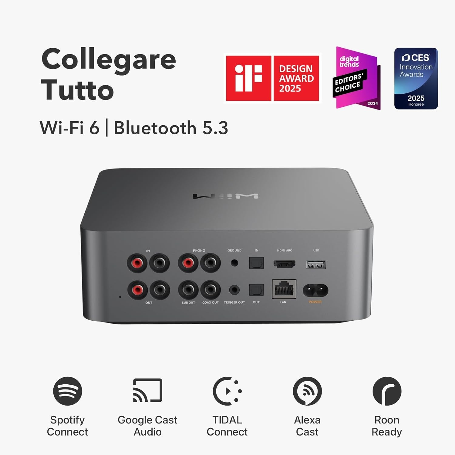 Un dispositivo audio grigio con più porte. Loghi per Spotify, Google Cast, Tidal, Alexa e Roon. Sono presenti anche premi.