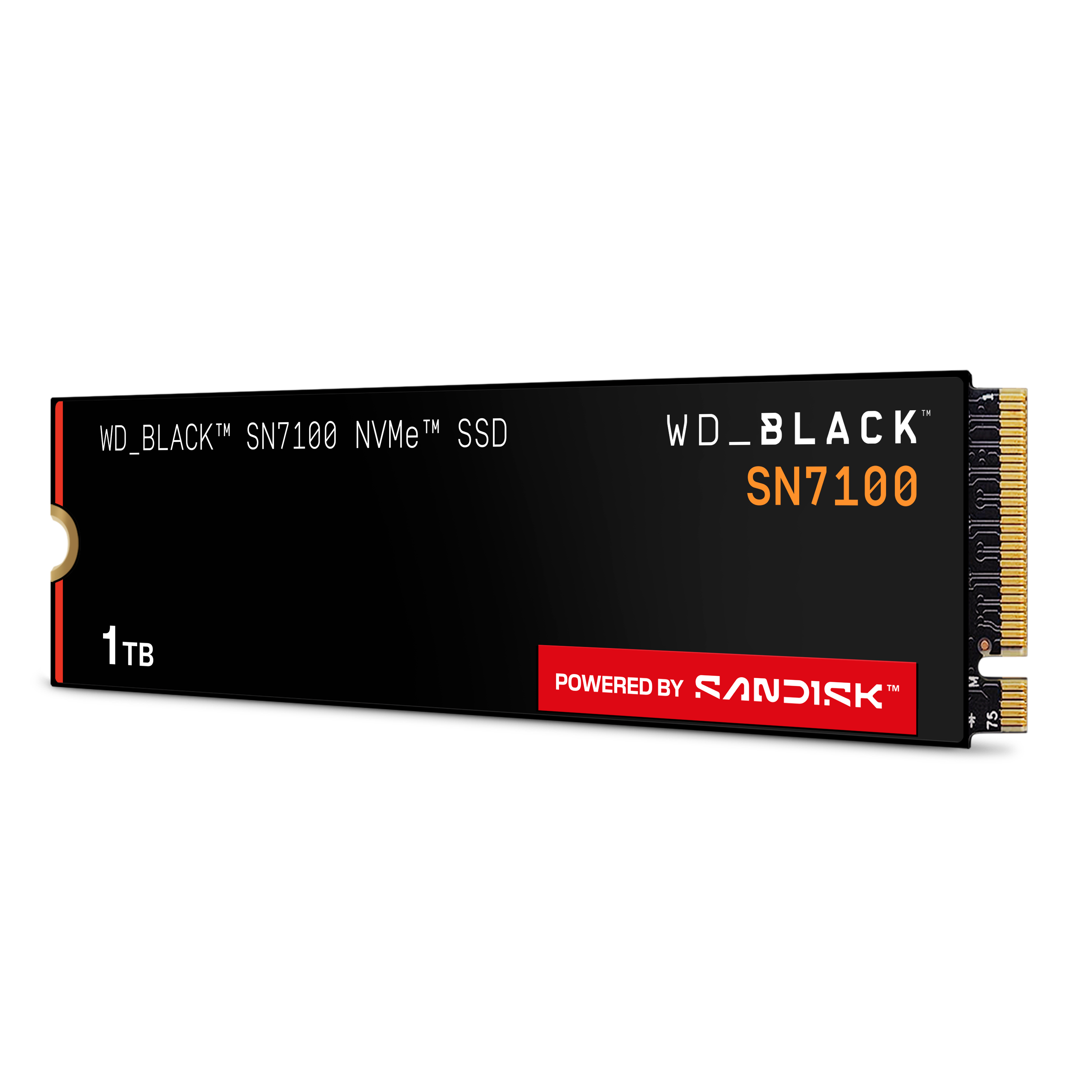 Schwarze NVMe-SSD mit weißem Text, roten Akzenten und den Logos von WD_BLACK und Sandisk auf weißem Hintergrund.