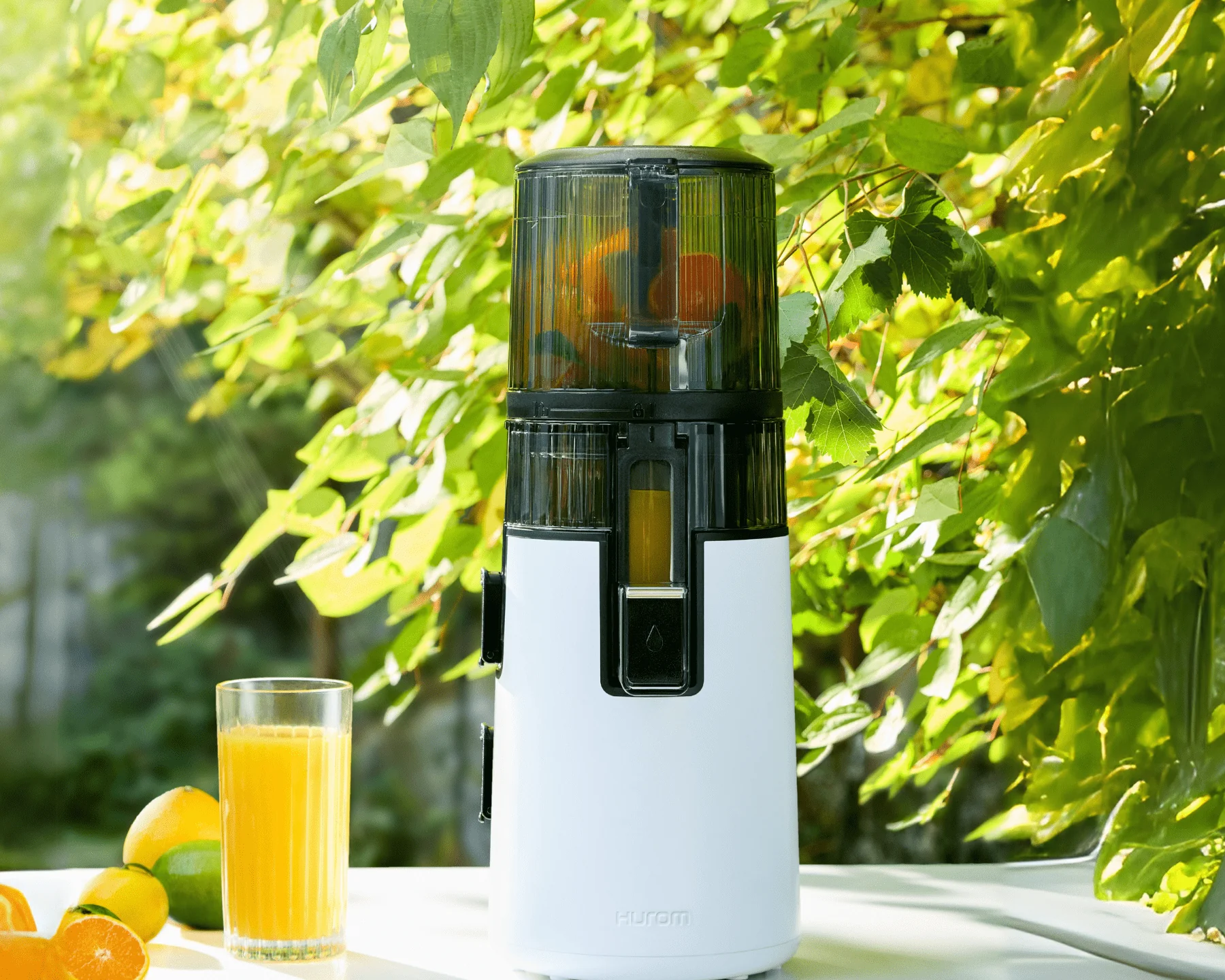 Ein weißer Entsafter mit Orangen darin, ein Glas Saft und Früchte stehen auf dem Tisch, umgeben von grünem Laub.