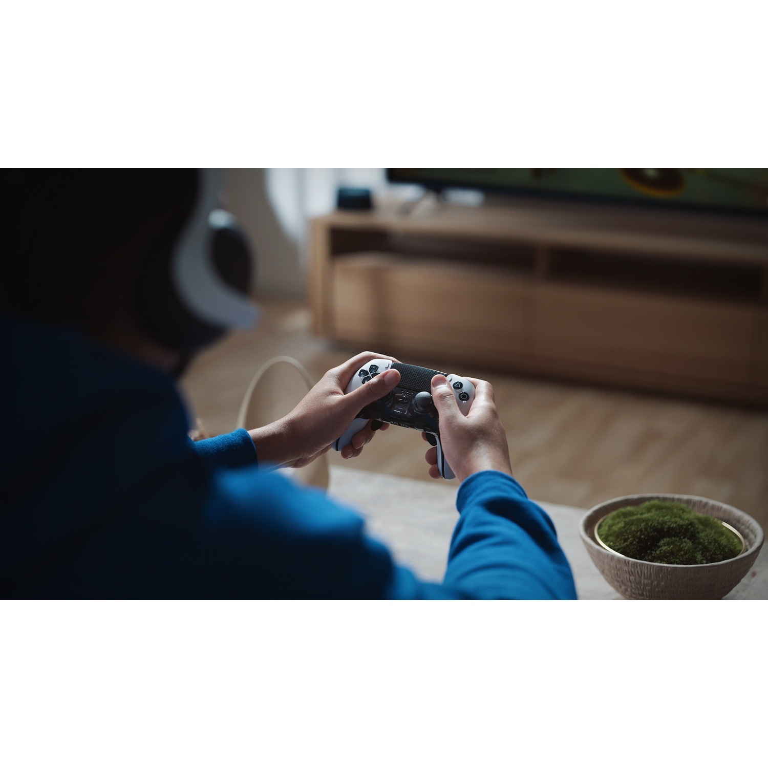 A person holds a game controller. A bowl of moss sits on a table. A television and a wooden cabinet are in the background.