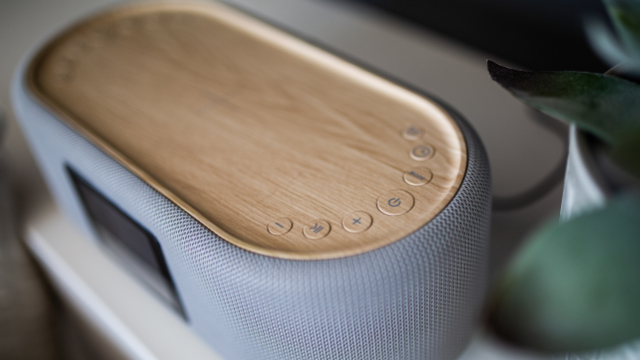Zbliżenie głośnika z drewnianym blatem i szarymi siatkowymi bokami. Przyciski są widoczne. Roślina w tle.
