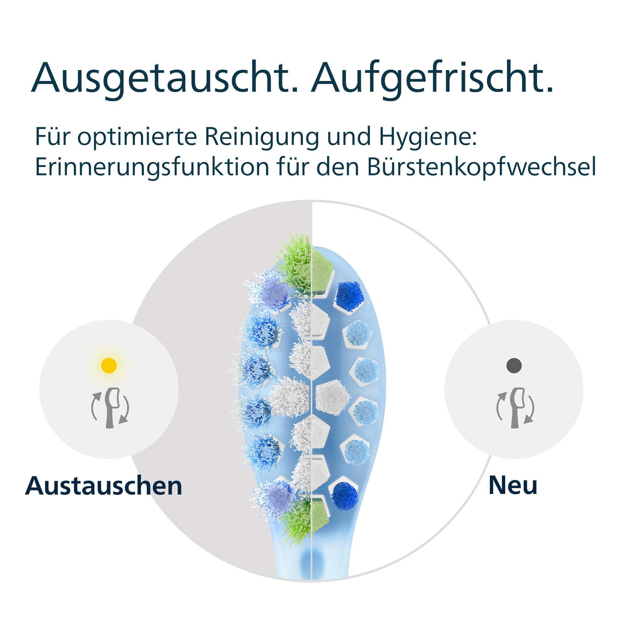 Das Bild zeigt einen Zahnbürstenkopf mit den Texten 'Ausgetauscht. Aufgefrischt.' und 'Austauschen' und 'Neu'.