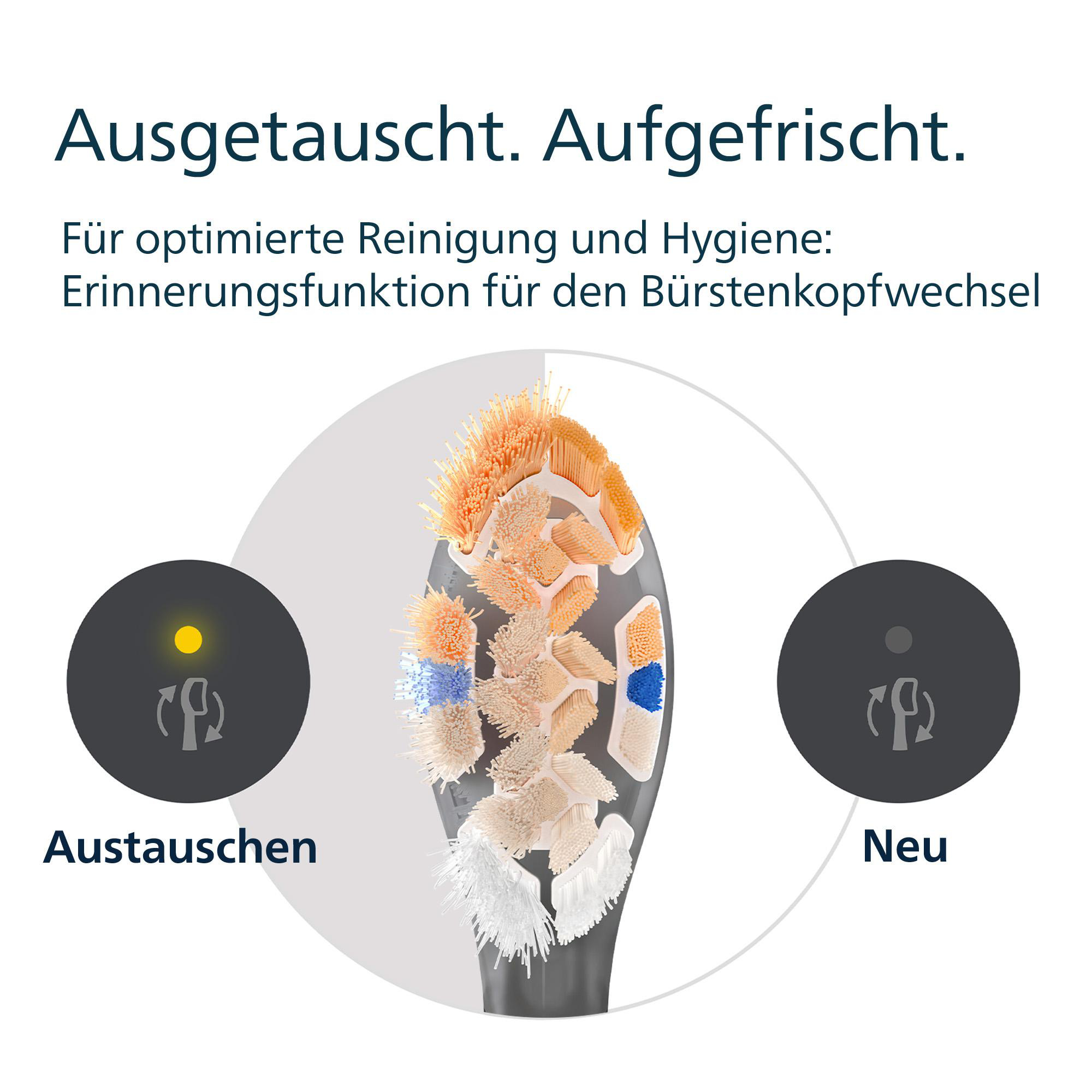 Das Bild zeigt einen Zahnbürstenkopf mit den Etiketten 'Austauschen' und 'Neu'. Es wirbt für optimierte Reinigung und Hygiene.