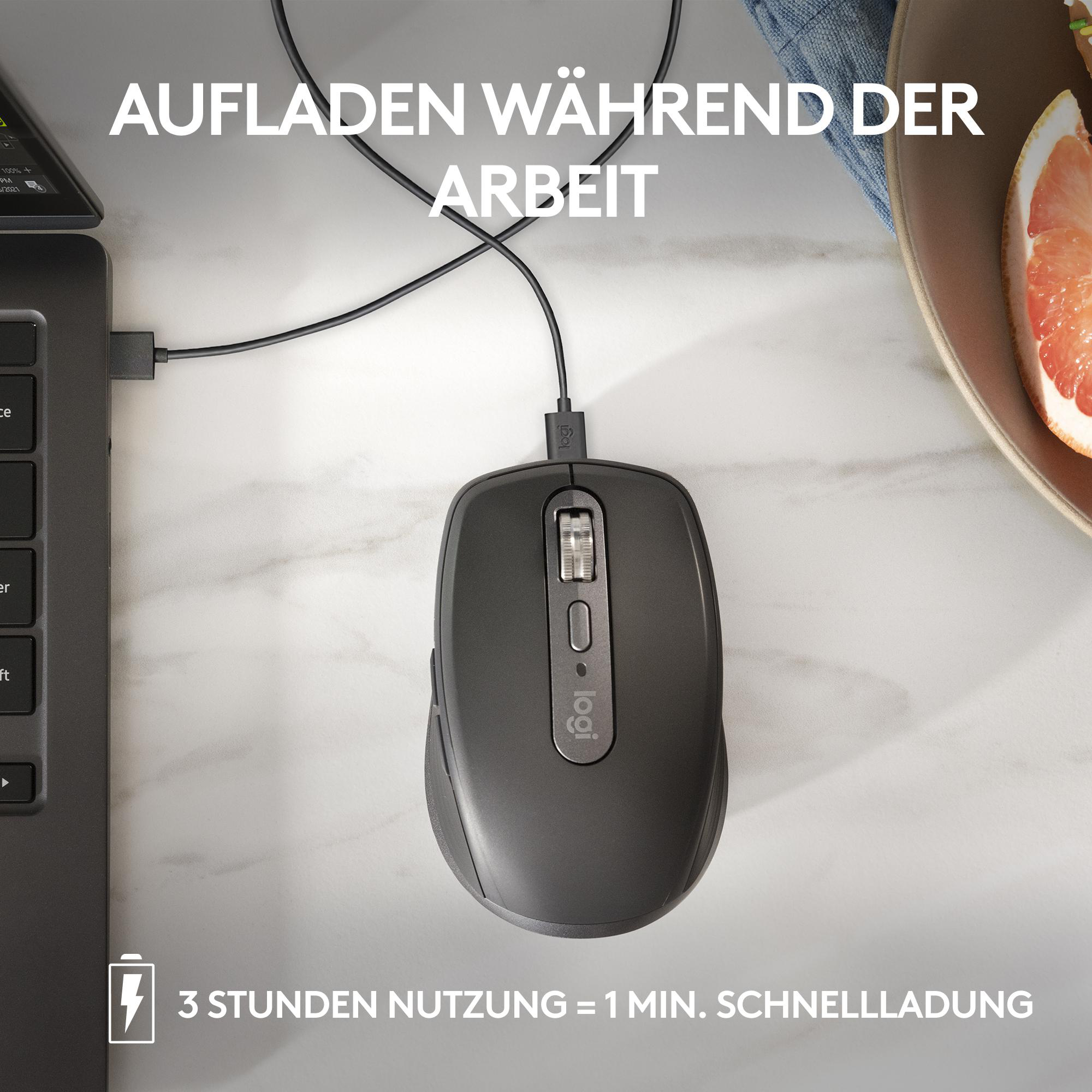 Eine graue Maus ist mit einem Laptop verbunden. Im Hintergrund ein Teller mit einer Grapefruitscheibe.