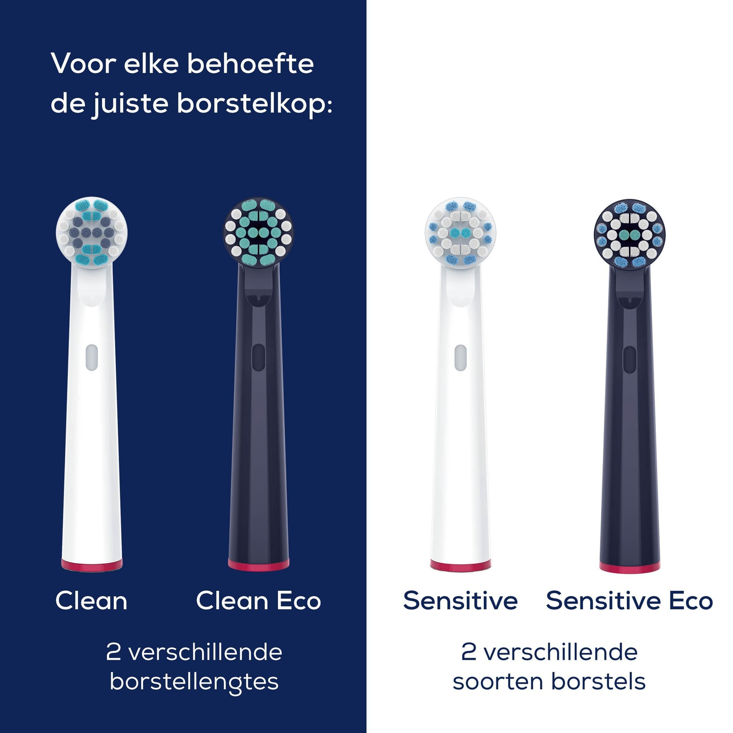 Afbeelding toont vier tandenborstelkoppen: Clean, Clean Eco, Sensitive en Sensitive Eco. Elk heeft een andere borstelopstelling en kleur.
