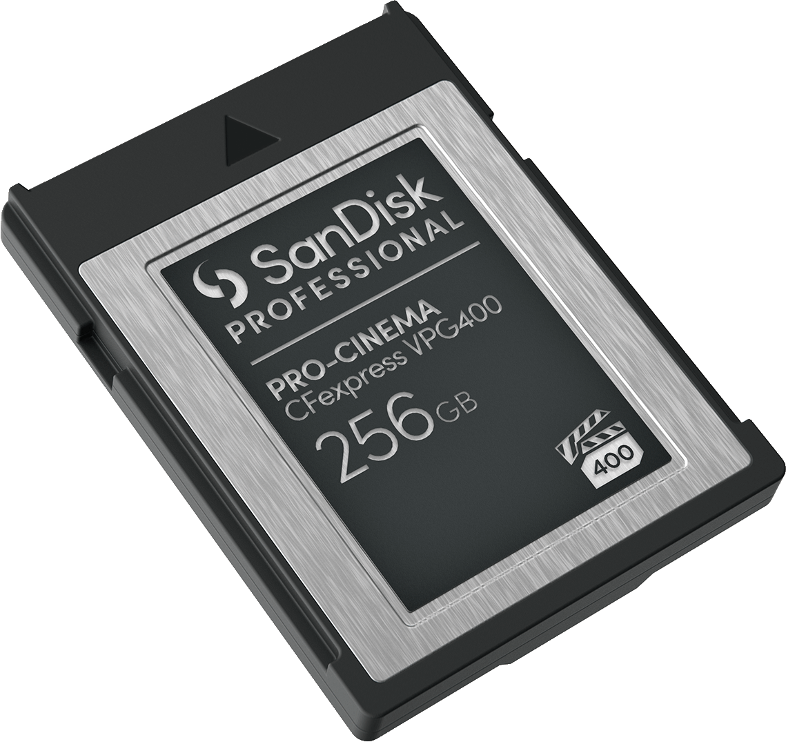Una scheda CFexpress SanDisk Professional nera e argento. Ha una capacità di 256 GB e una velocità di 400, con sfondo grigio.