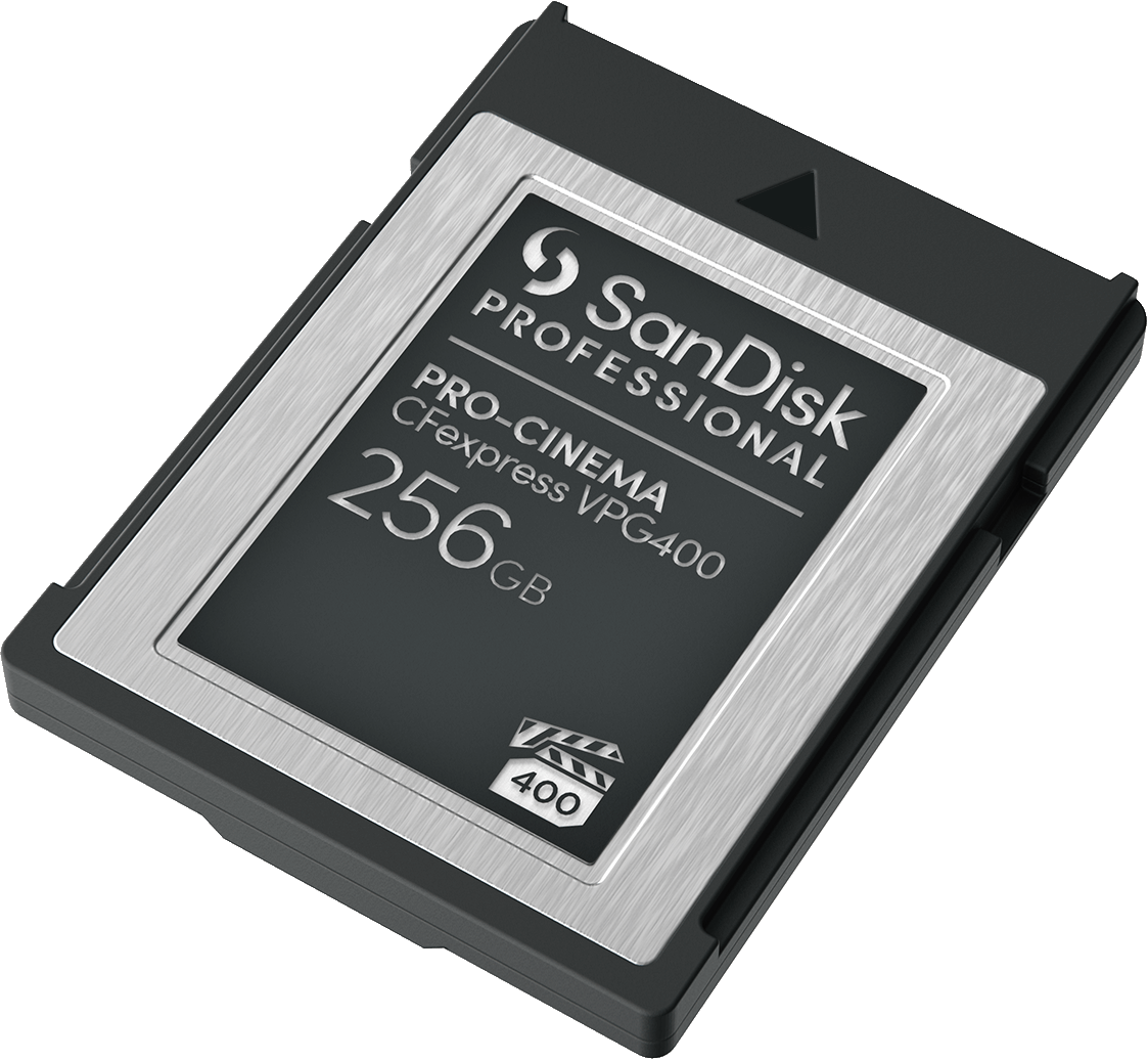 Una scheda SanDisk Professional CFexpress. È nera e argento, con la scritta '256GB' e '400'.